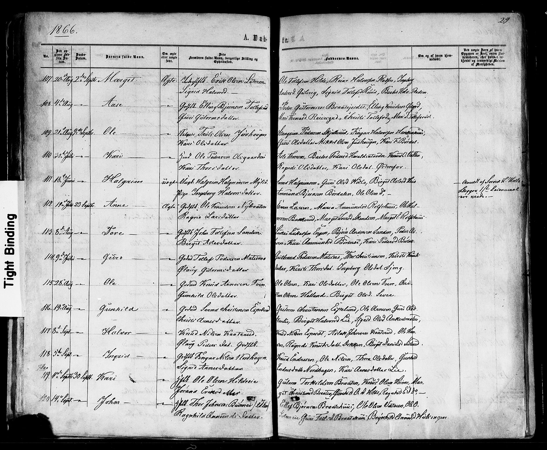 Nes kirkebøker, AV/SAKO-A-236/F/Fa/L0010: Parish register (official) no. 10, 1864-1880, p. 29