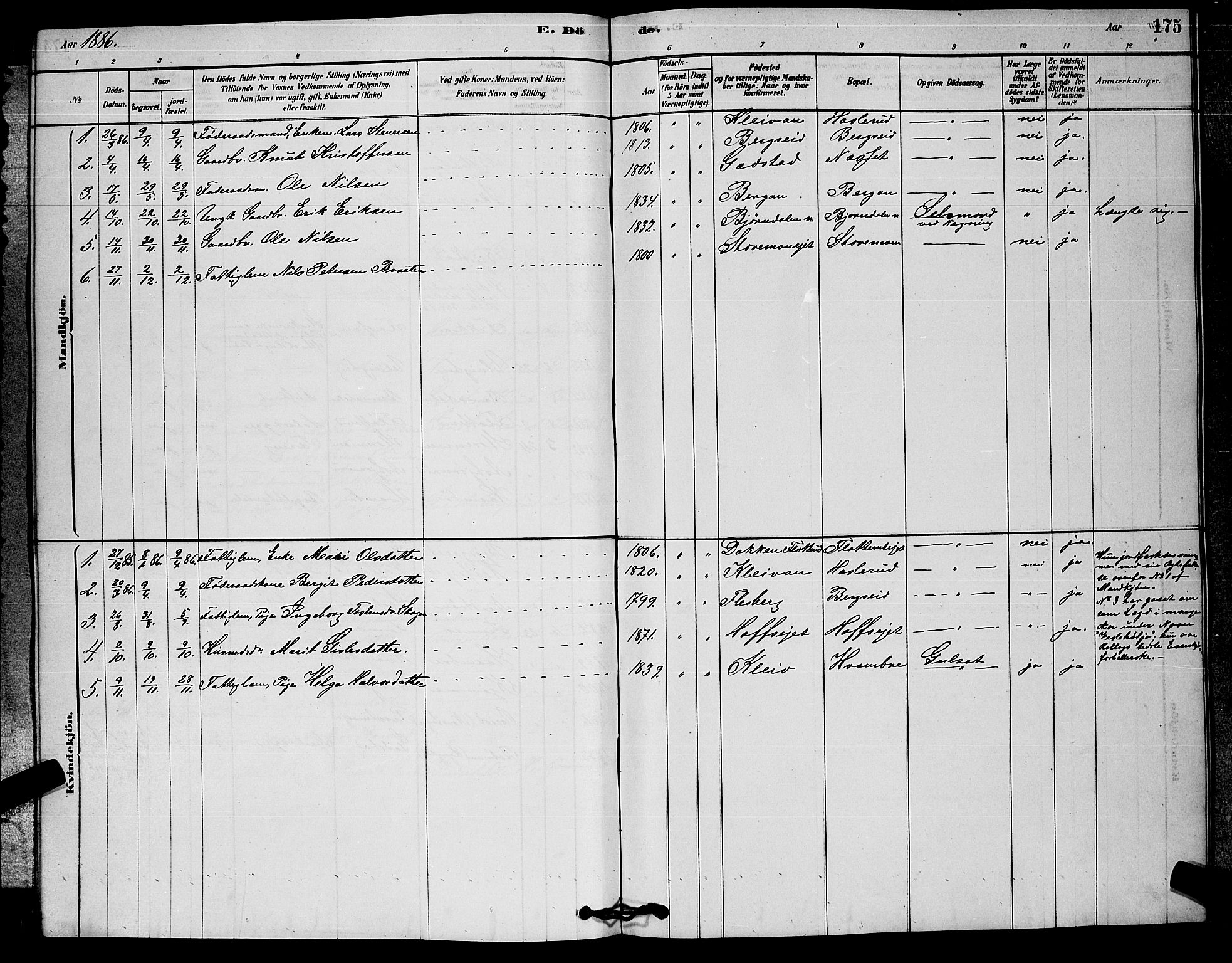 Rollag kirkebøker, SAKO/A-240/G/Ga/L0004: Parish register (copy) no. I 4, 1878-1903, p. 175