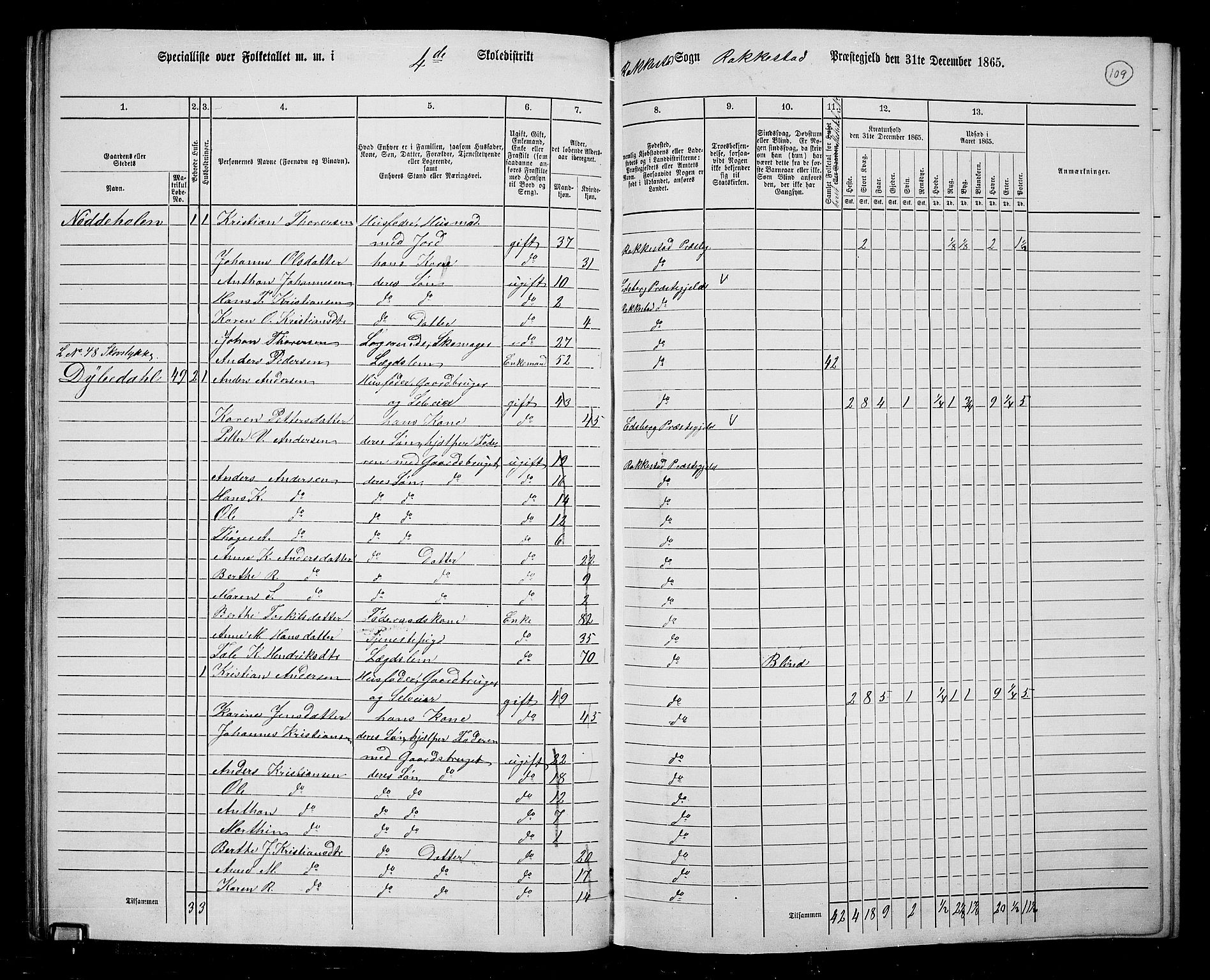 RA, 1865 census for Rakkestad, 1865, p. 107