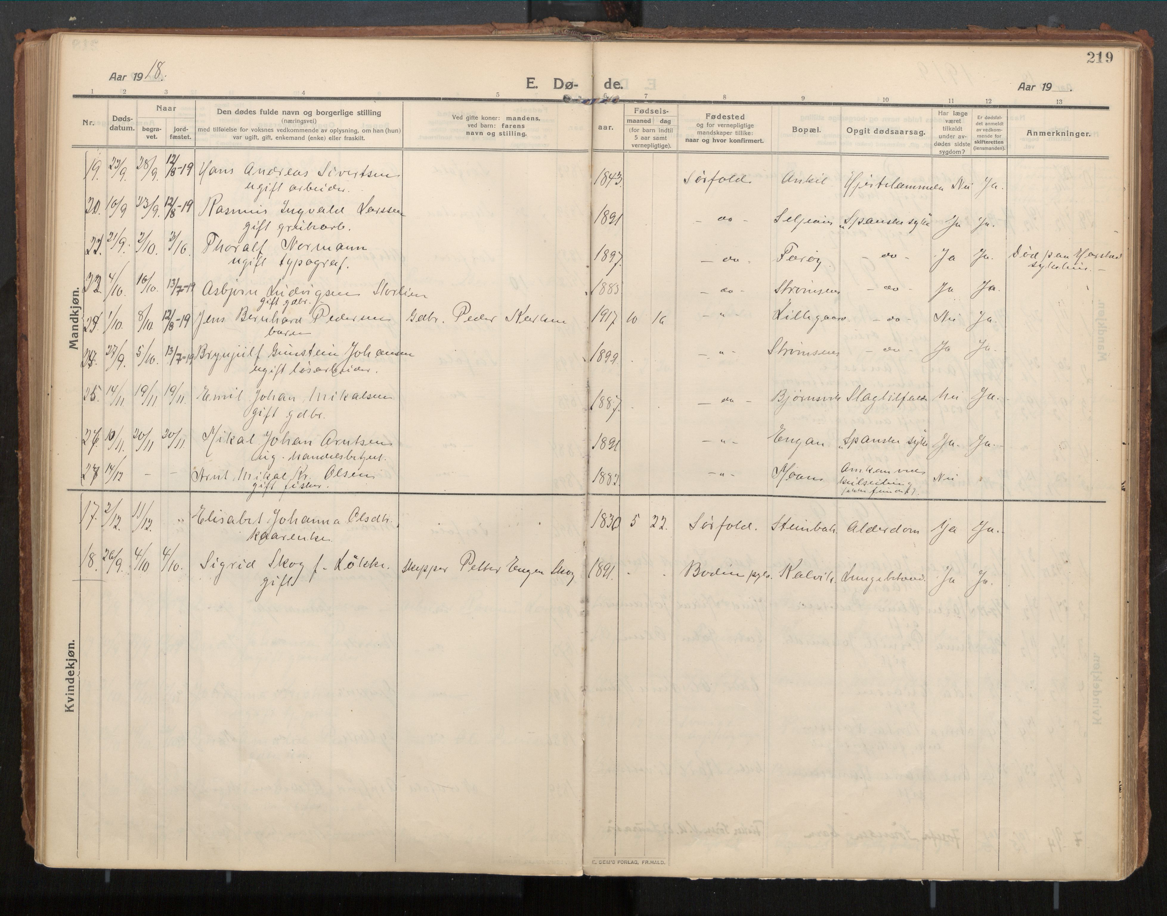 Ministerialprotokoller, klokkerbøker og fødselsregistre - Nordland, AV/SAT-A-1459/854/L0784: Parish register (official) no. 854A07, 1910-1922, p. 219