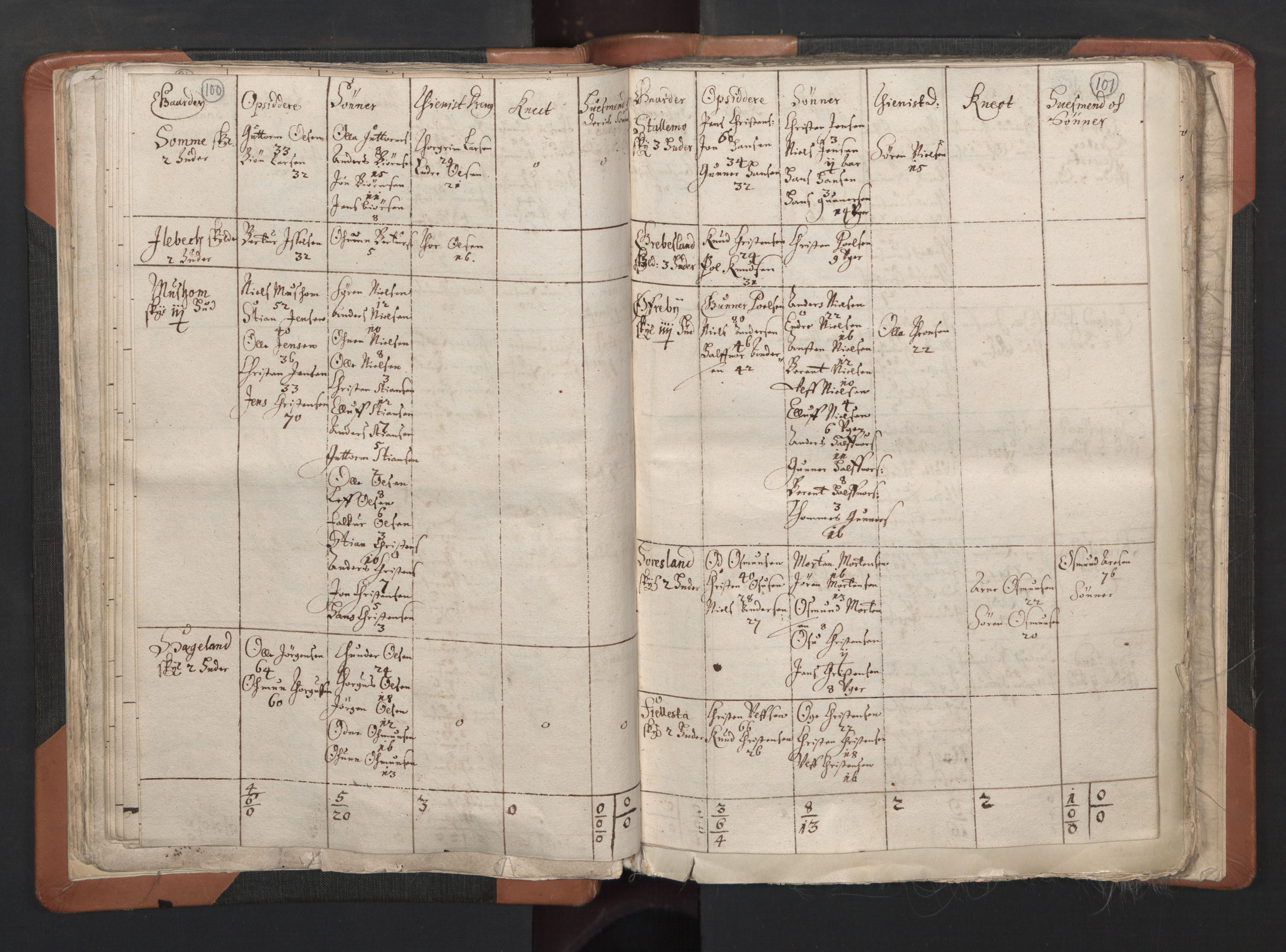 RA, Vicar's Census 1664-1666, no. 15: Mandal deanery, 1664-1666, p. 100-101