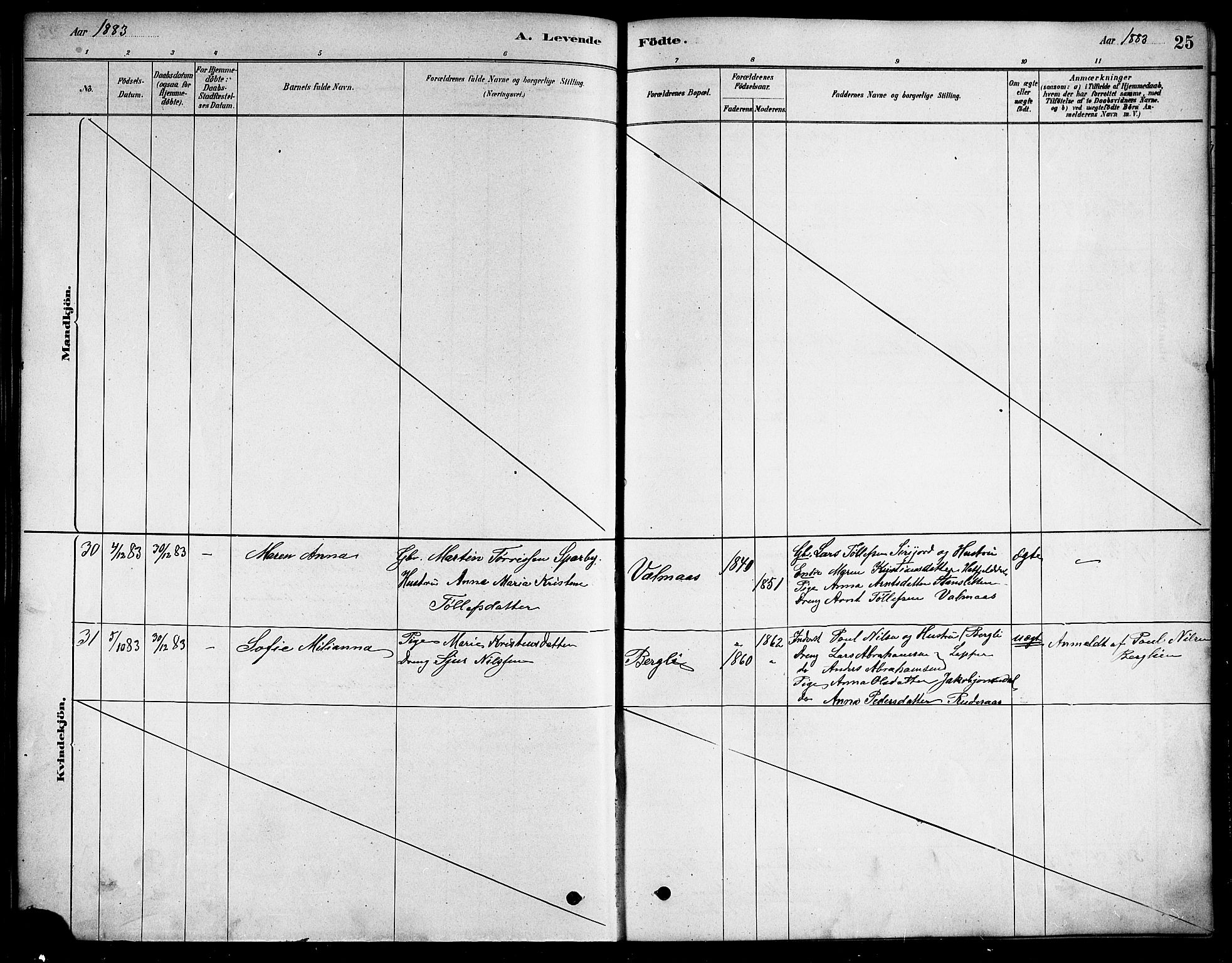 Ministerialprotokoller, klokkerbøker og fødselsregistre - Nordland, SAT/A-1459/823/L0330: Parish register (copy) no. 823C02, 1879-1916, p. 25