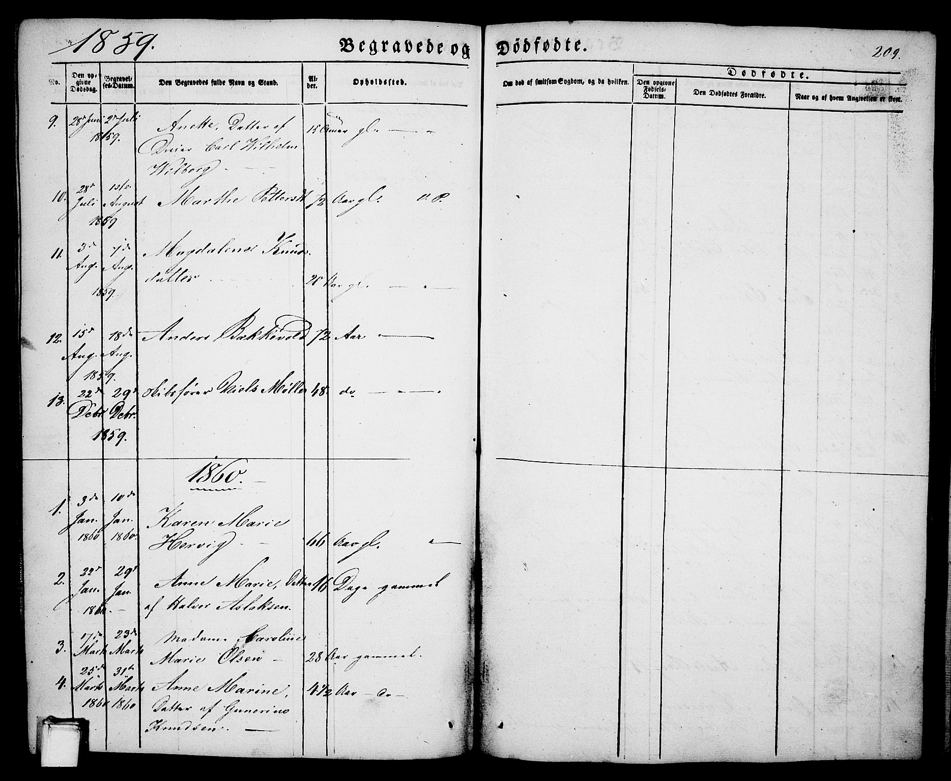 Porsgrunn kirkebøker , SAKO/A-104/G/Ga/L0002: Parish register (copy) no. I 2, 1847-1877, p. 209