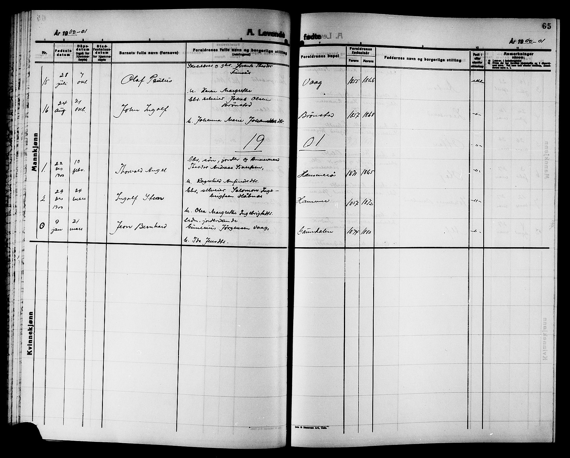 Ministerialprotokoller, klokkerbøker og fødselsregistre - Nord-Trøndelag, SAT/A-1458/749/L0487: Parish register (official) no. 749D03, 1887-1902, p. 65