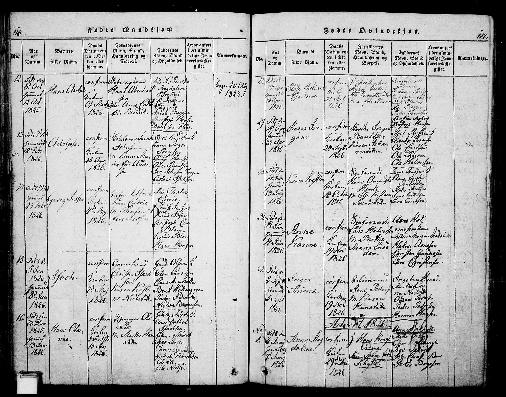 Skien kirkebøker, AV/SAKO-A-302/G/Ga/L0002: Parish register (copy) no. 2, 1814-1842, p. 116-117