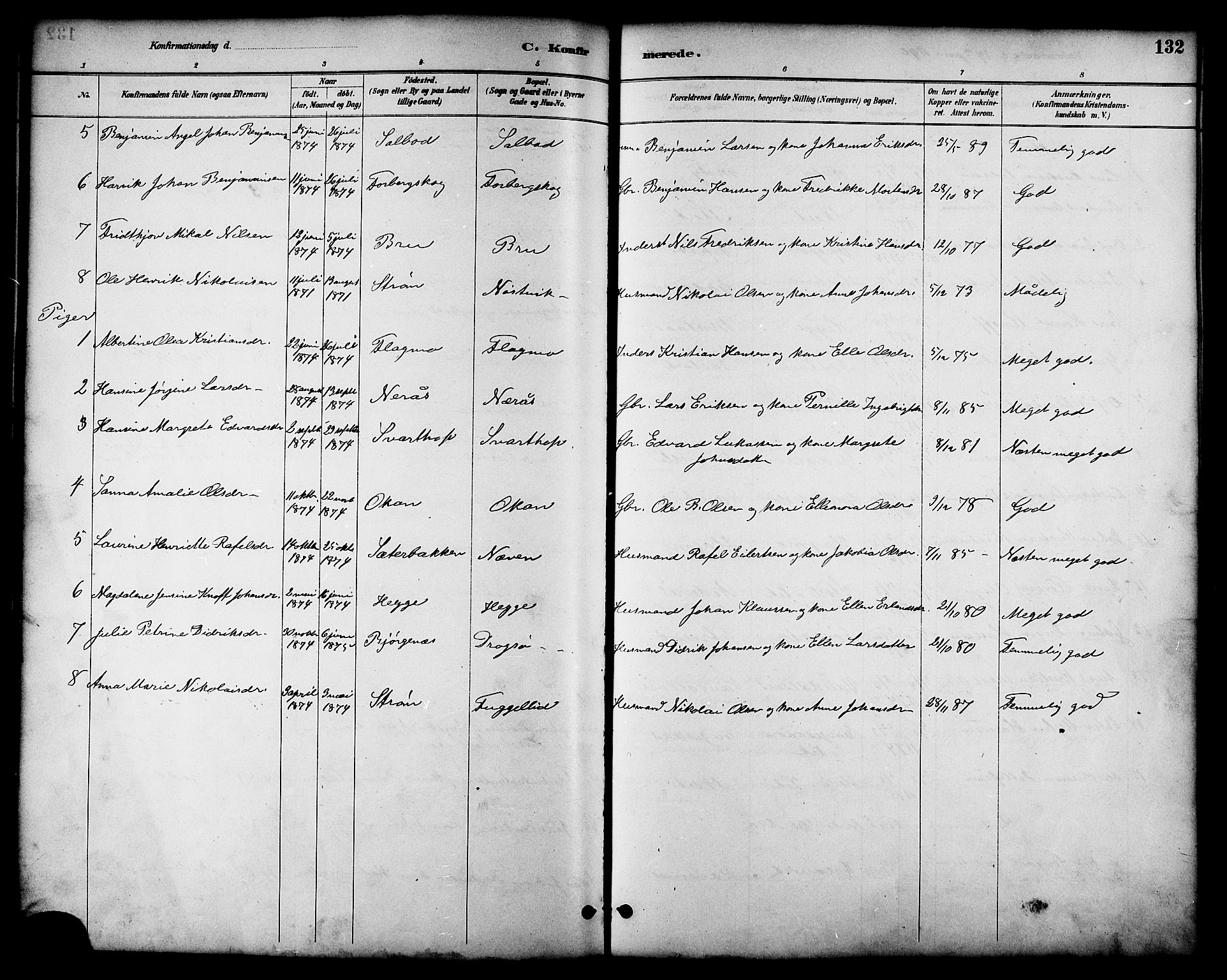 Ministerialprotokoller, klokkerbøker og fødselsregistre - Nordland, AV/SAT-A-1459/814/L0230: Parish register (copy) no. 814C03, 1884-1911, p. 132