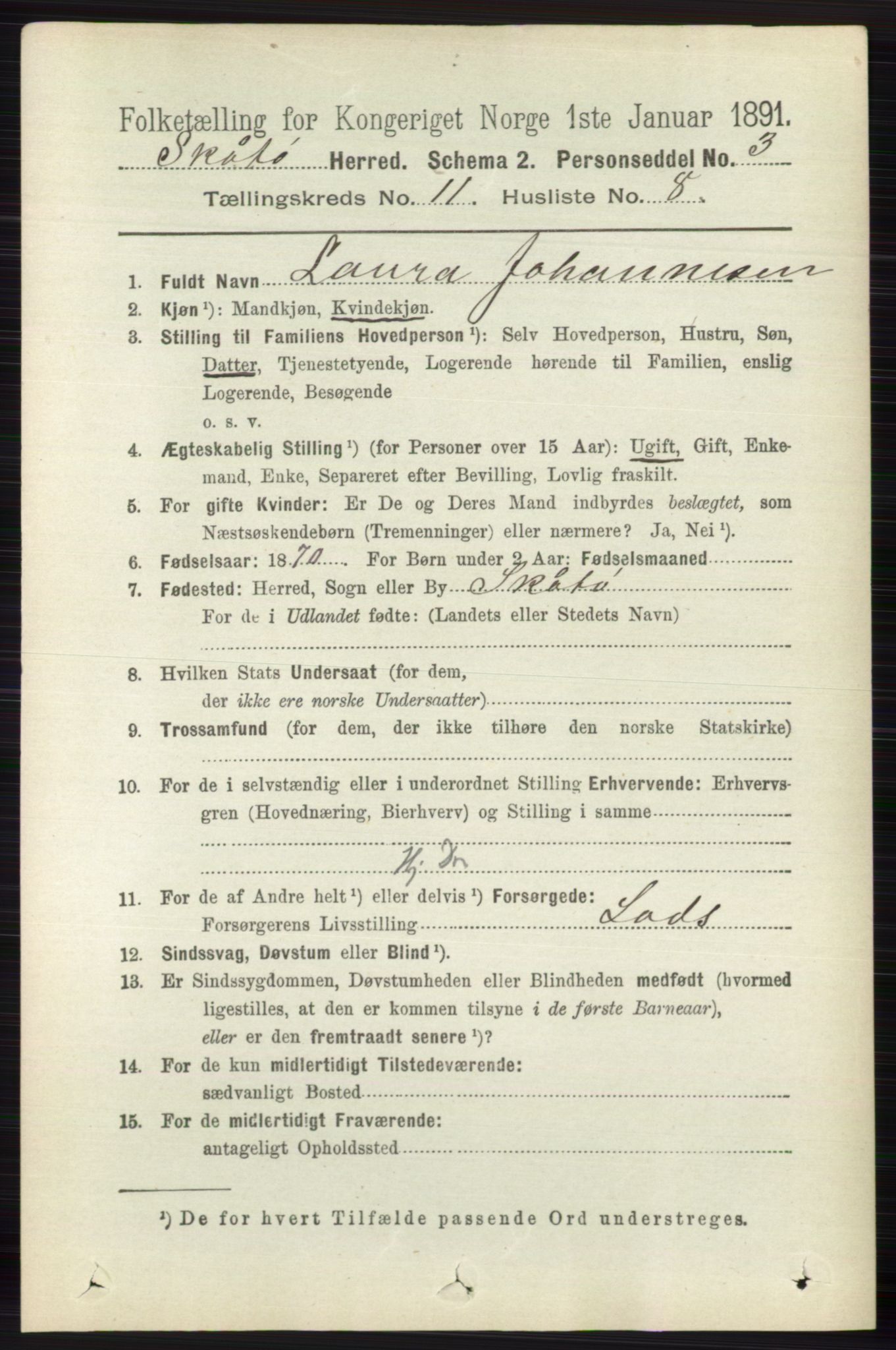 RA, 1891 census for 0815 Skåtøy, 1891, p. 4268