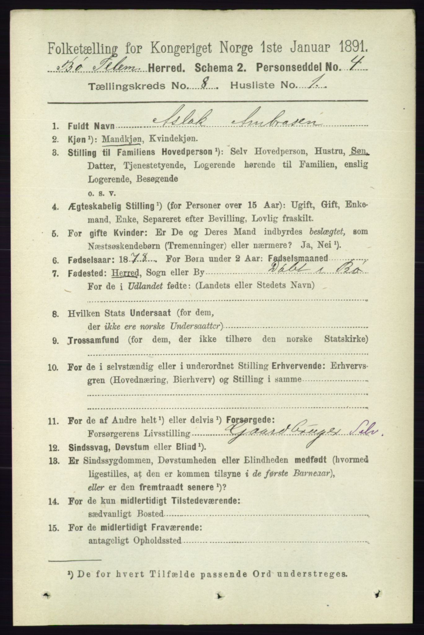 RA, 1891 census for 0821 Bø, 1891, p. 2562