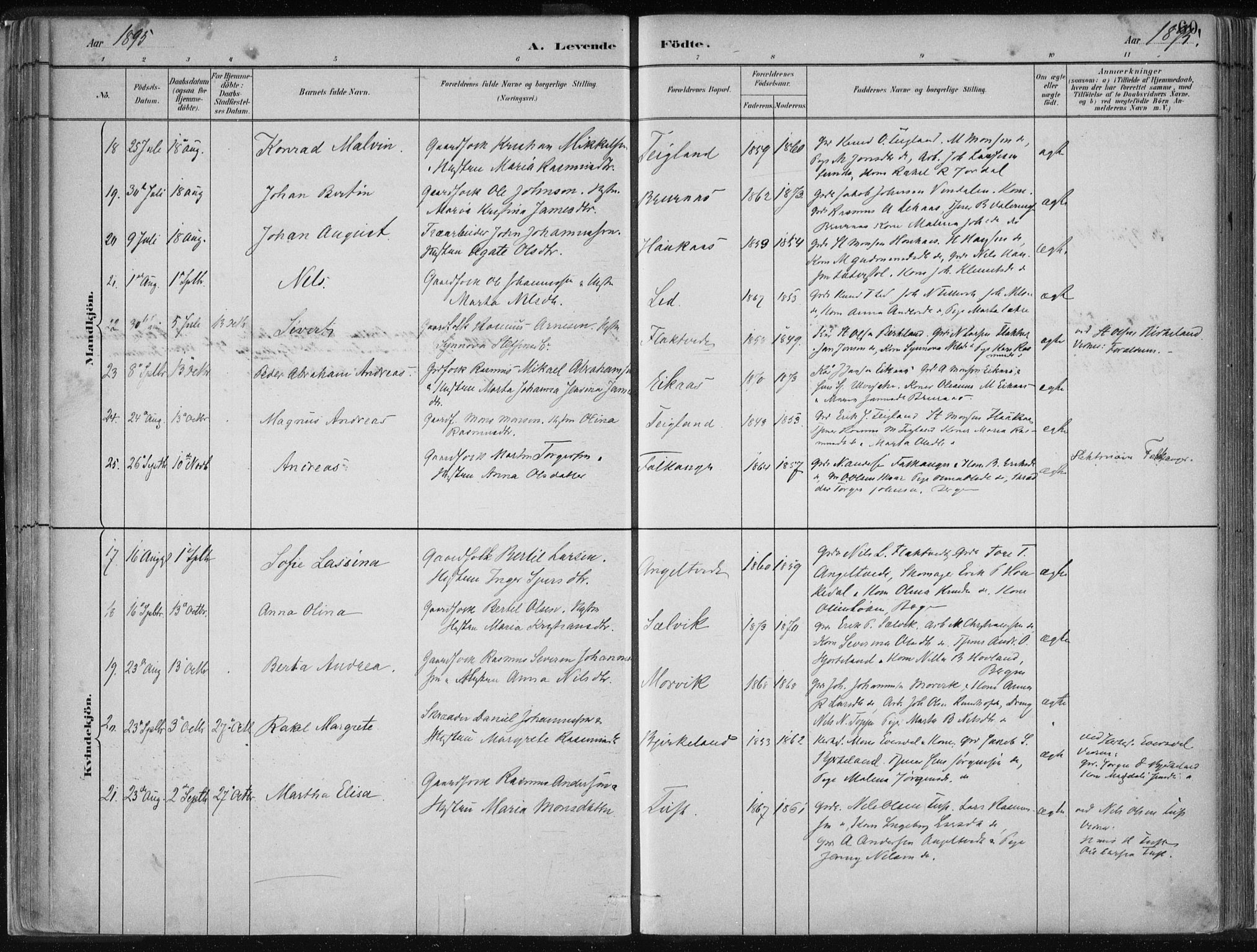 Hamre sokneprestembete, SAB/A-75501/H/Ha/Haa/Haad/L0001: Parish register (official) no. D  1, 1882-1906, p. 60