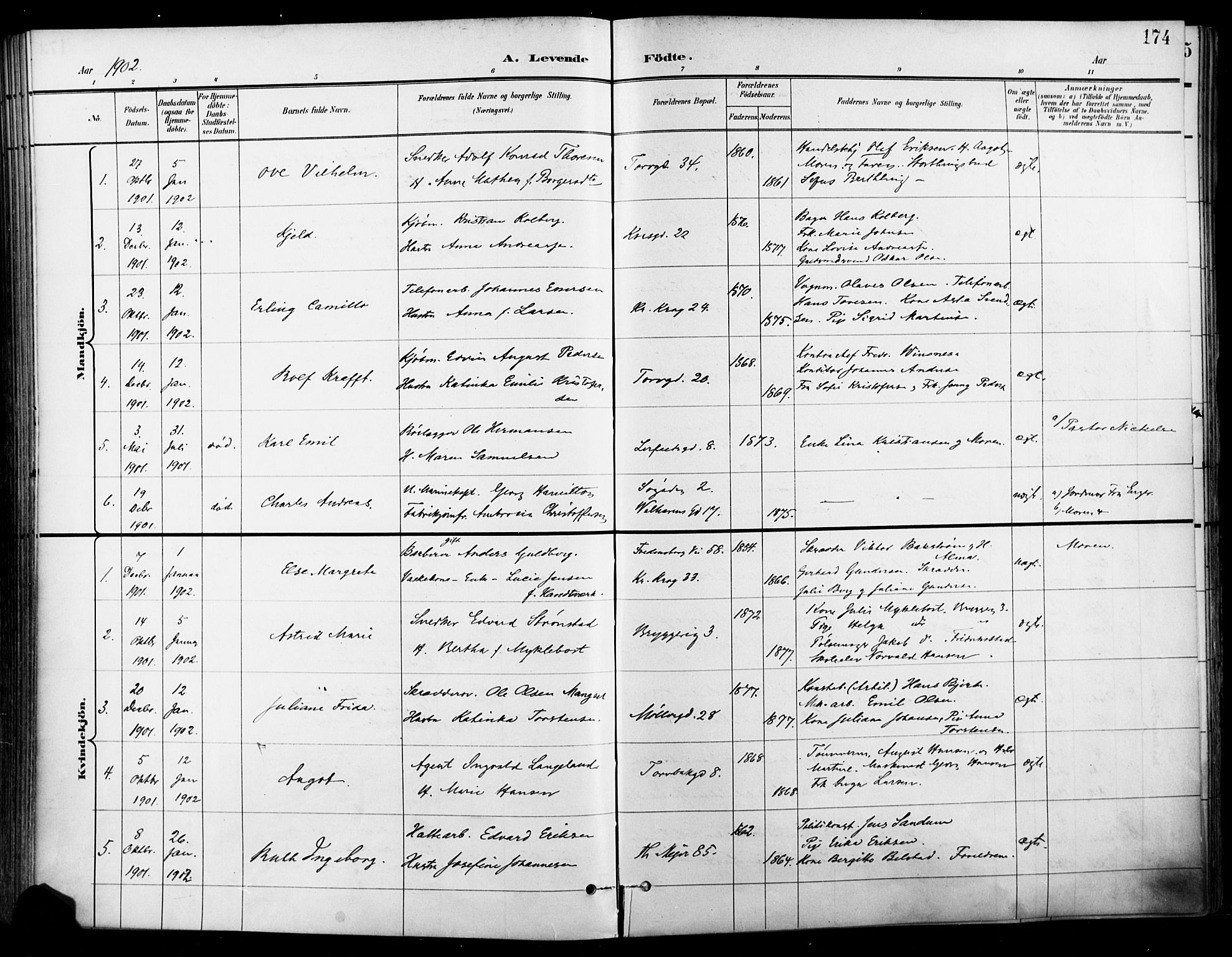 Jakob prestekontor Kirkebøker, SAO/A-10850/F/Fa/L0005: Parish register (official) no. 5, 1896-1903, p. 174