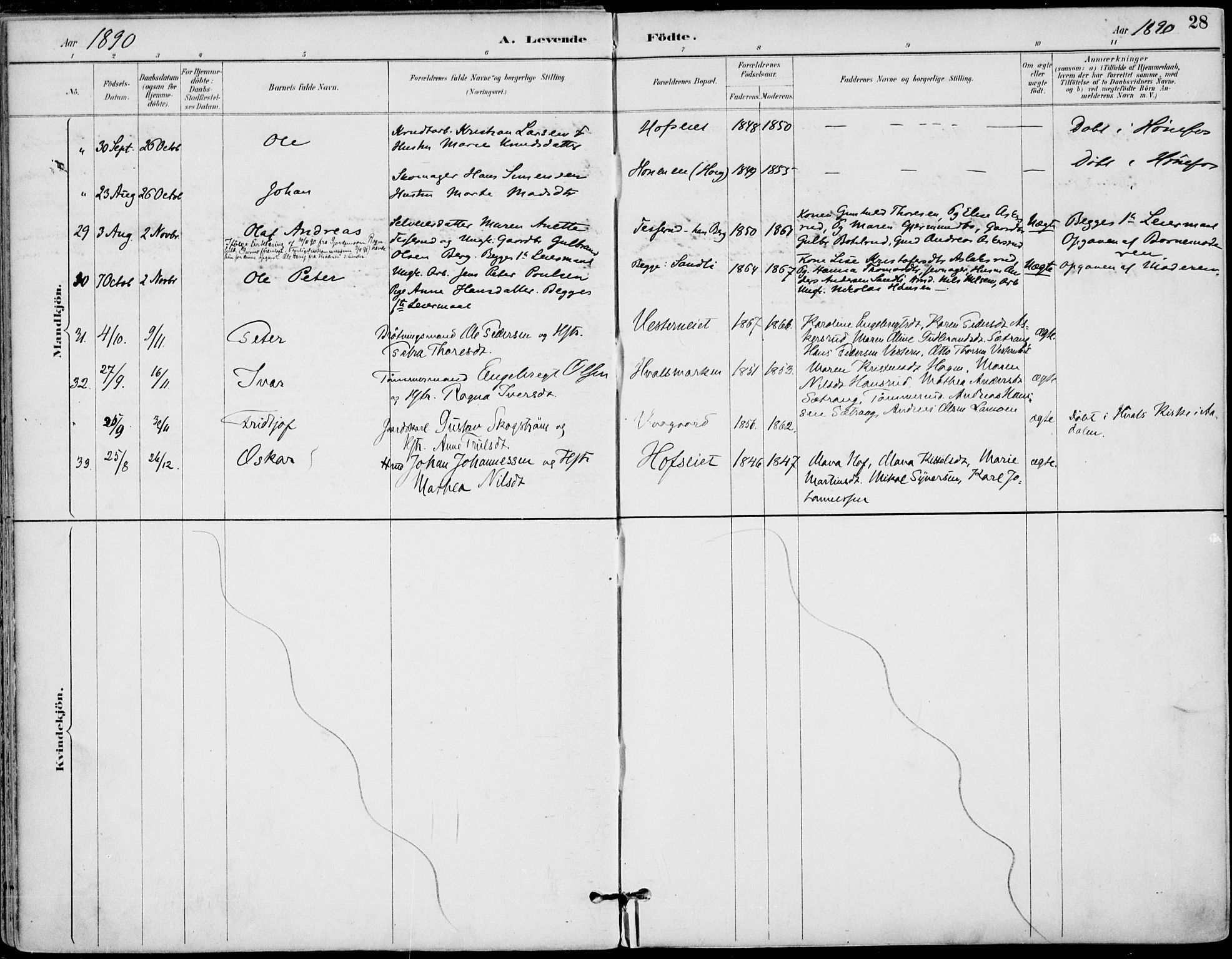 Haug kirkebøker, AV/SAKO-A-604/F/Fa/L0001: Parish register (official) no. 1, 1885-1917, p. 28