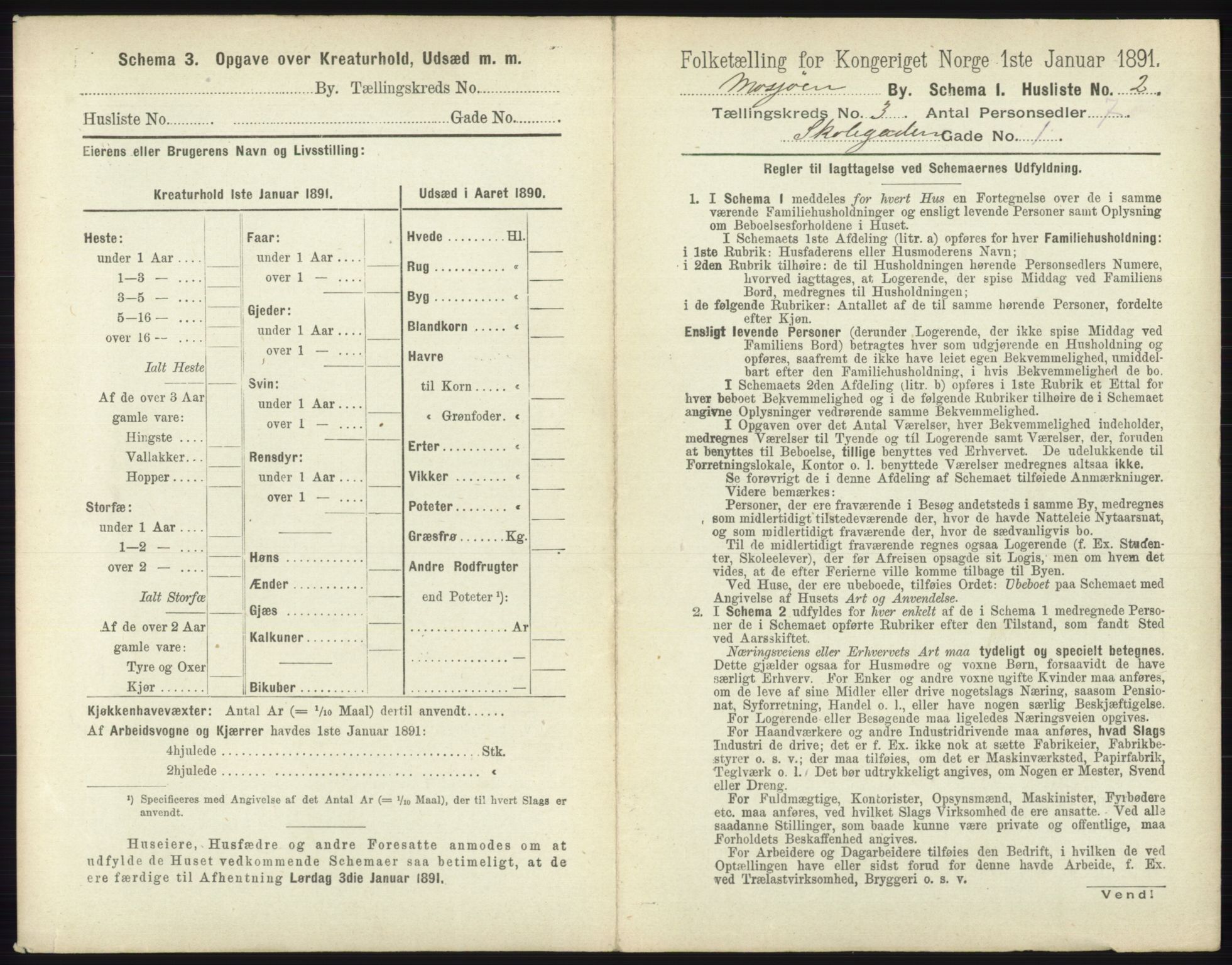 RA, 1891 census for 1802 Mosjøen, 1891, p. 1130