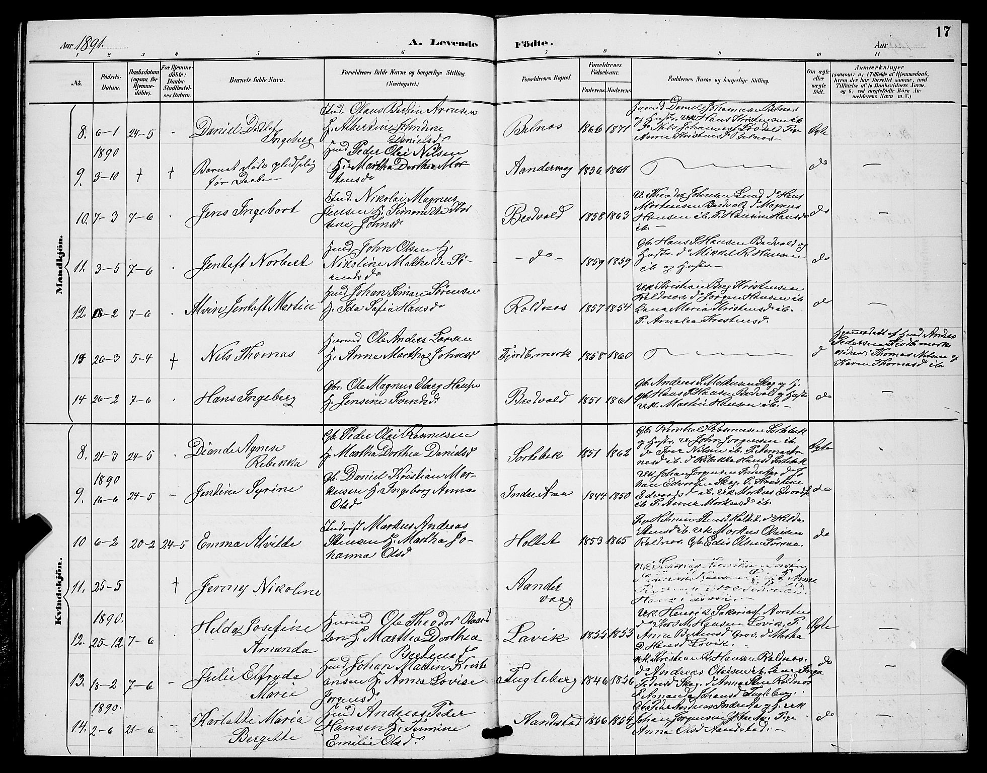 Ibestad sokneprestembete, SATØ/S-0077/H/Ha/Hab/L0008klokker: Parish register (copy) no. 8, 1890-1903, p. 17