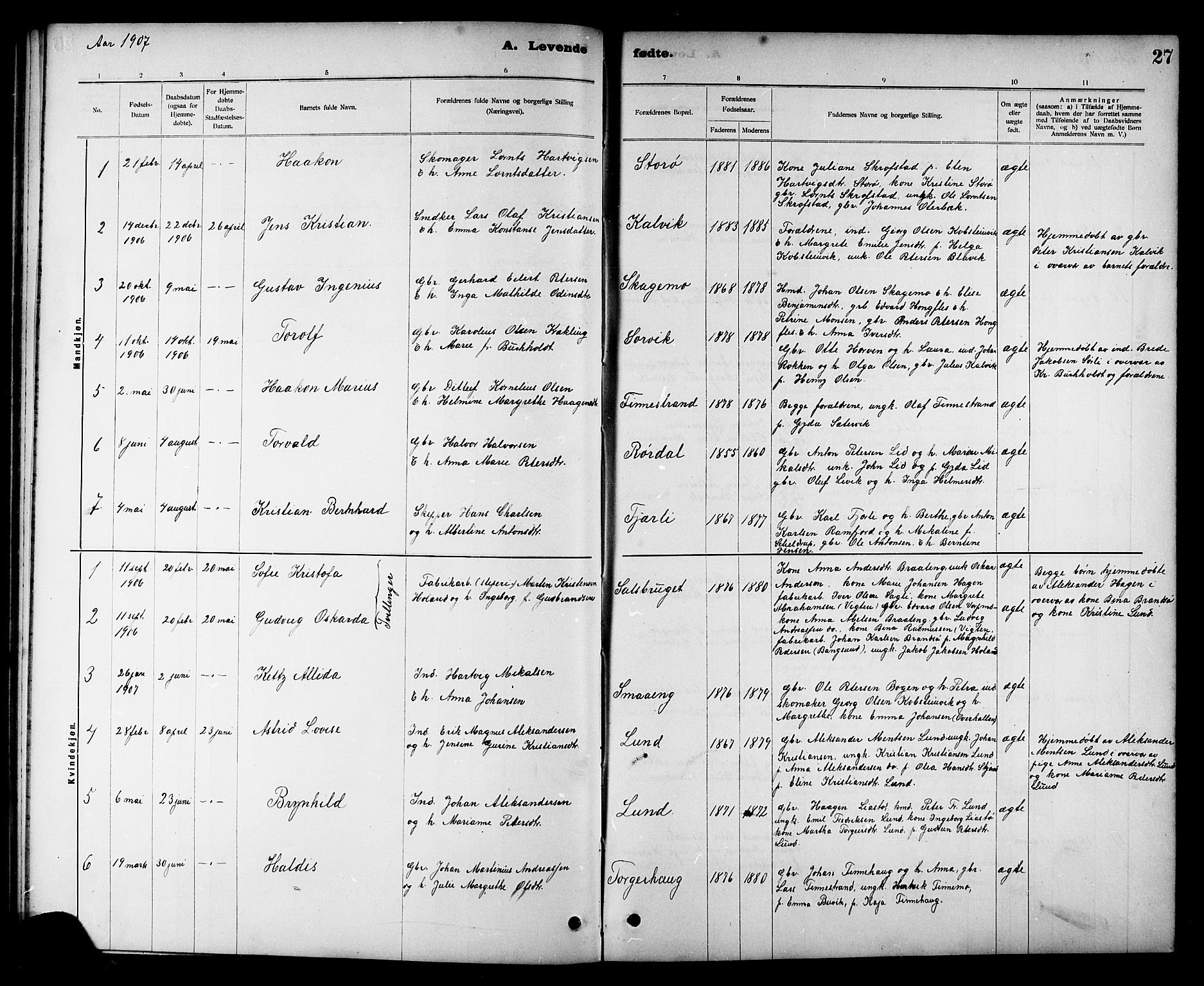 Ministerialprotokoller, klokkerbøker og fødselsregistre - Nord-Trøndelag, SAT/A-1458/780/L0652: Parish register (copy) no. 780C04, 1899-1911, p. 27