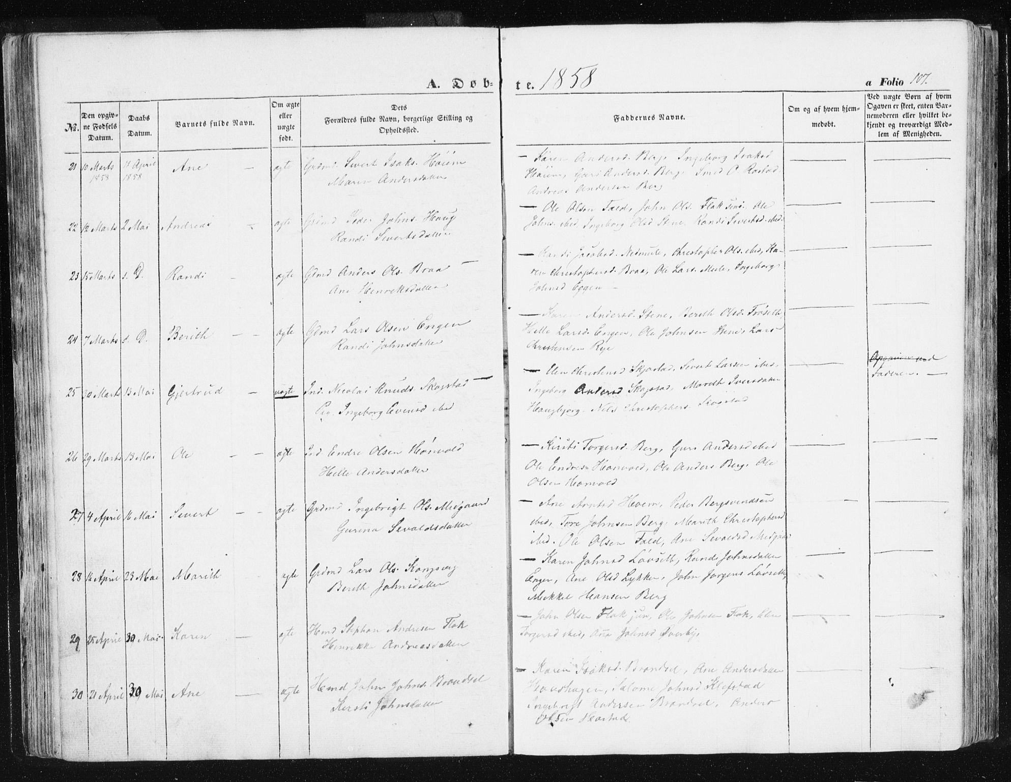 Ministerialprotokoller, klokkerbøker og fødselsregistre - Sør-Trøndelag, AV/SAT-A-1456/612/L0376: Parish register (official) no. 612A08, 1846-1859, p. 107