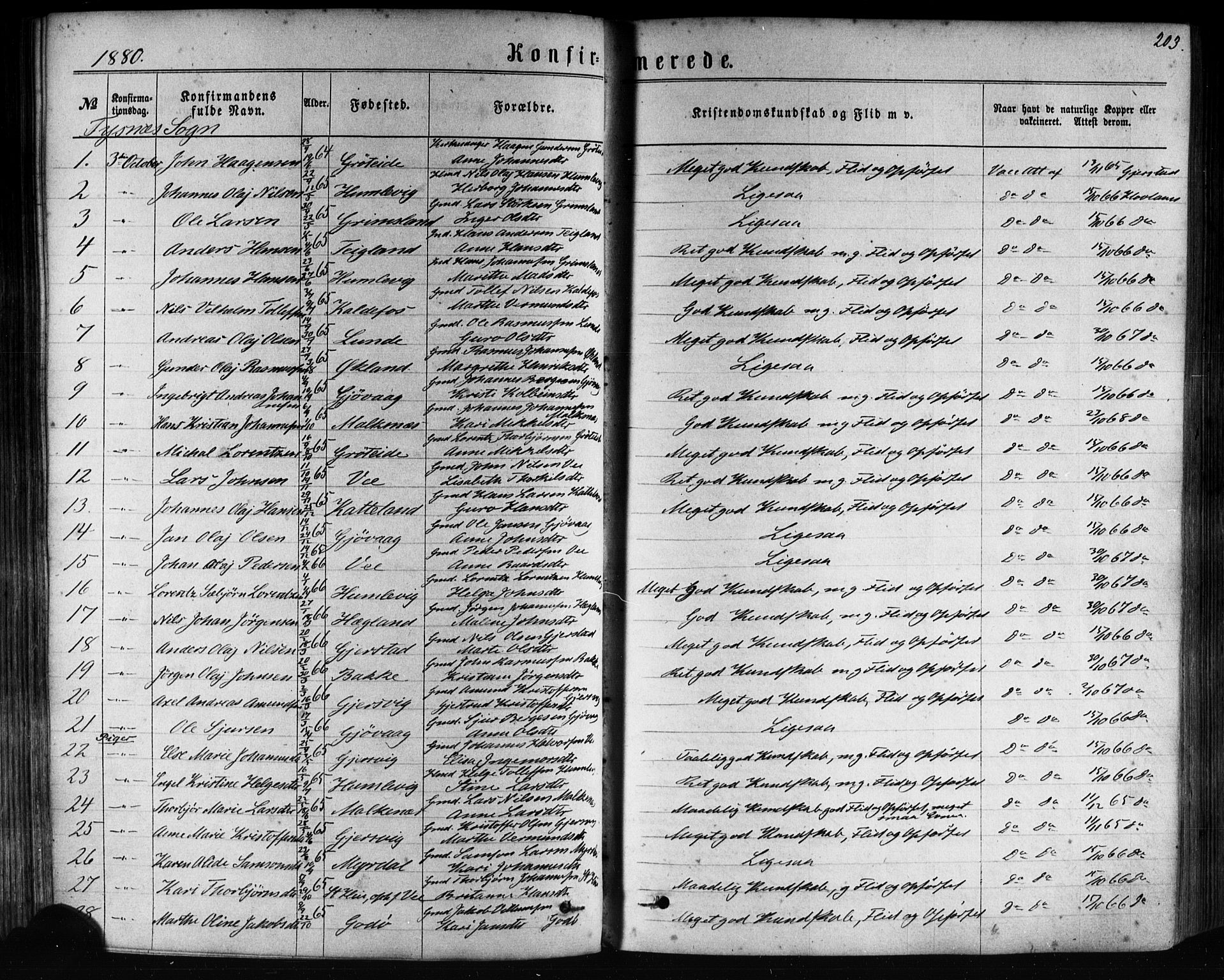 Tysnes sokneprestembete, SAB/A-78601/H/Haa: Parish register (official) no. A 12, 1872-1886, p. 203