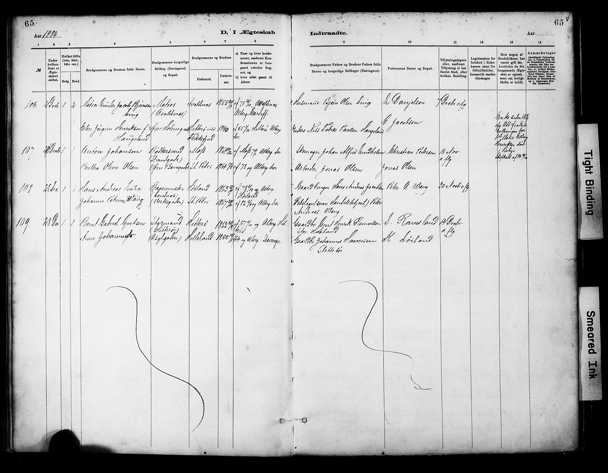 St. Petri sokneprestkontor, AV/SAST-A-101813/001/30/30BA/L0018: Parish register (official) no. A 19, 1879-1900, p. 65