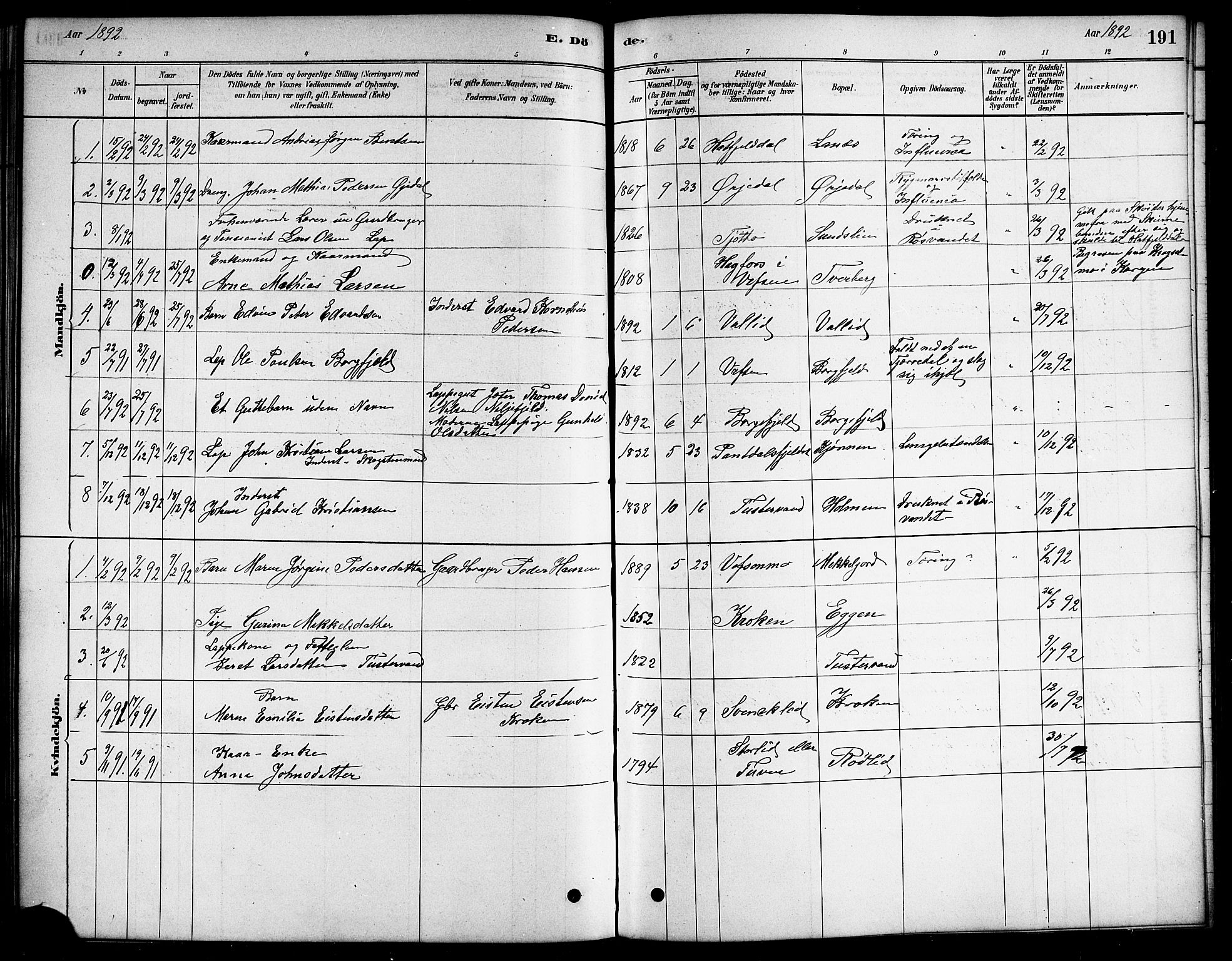 Ministerialprotokoller, klokkerbøker og fødselsregistre - Nordland, SAT/A-1459/823/L0330: Parish register (copy) no. 823C02, 1879-1916, p. 191