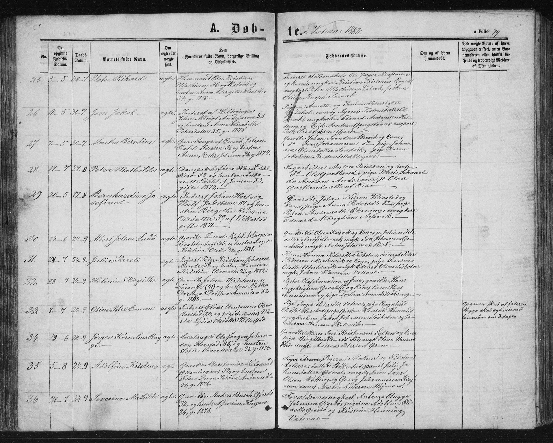 Ministerialprotokoller, klokkerbøker og fødselsregistre - Nordland, SAT/A-1459/810/L0158: Parish register (copy) no. 810C02 /1, 1863-1883, p. 79