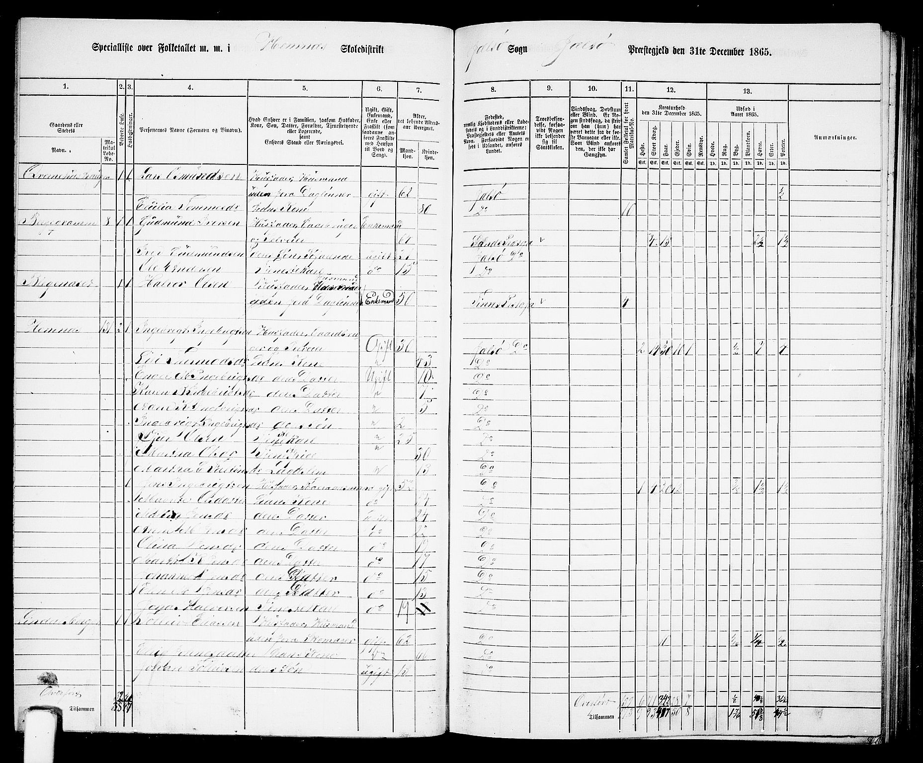 RA, 1865 census for Jelsa, 1865, p. 50