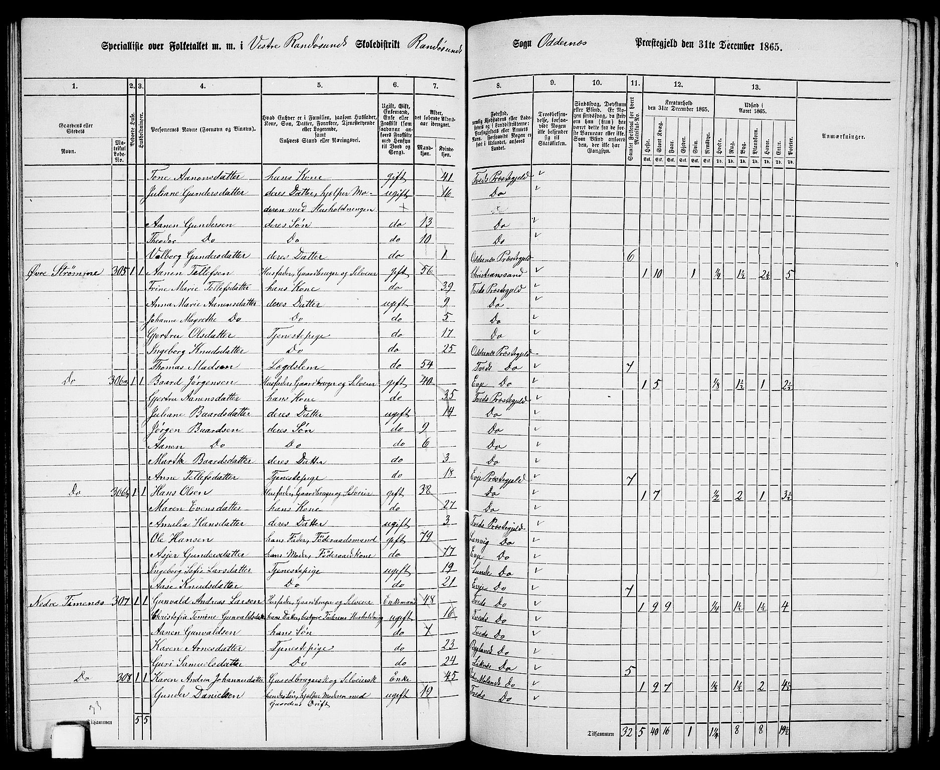 RA, 1865 census for Oddernes, 1865, p. 124