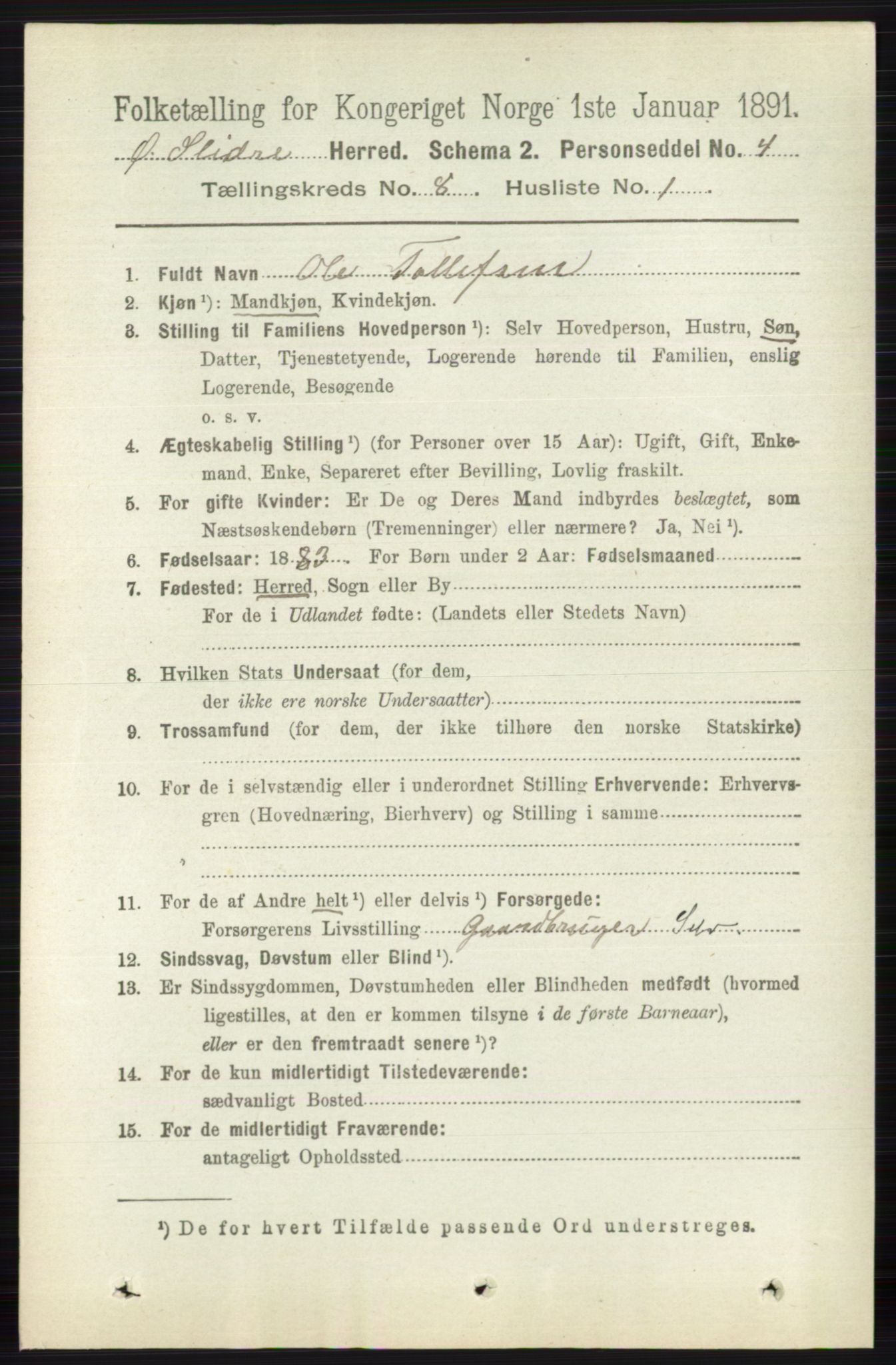 RA, 1891 census for 0544 Øystre Slidre, 1891, p. 2555