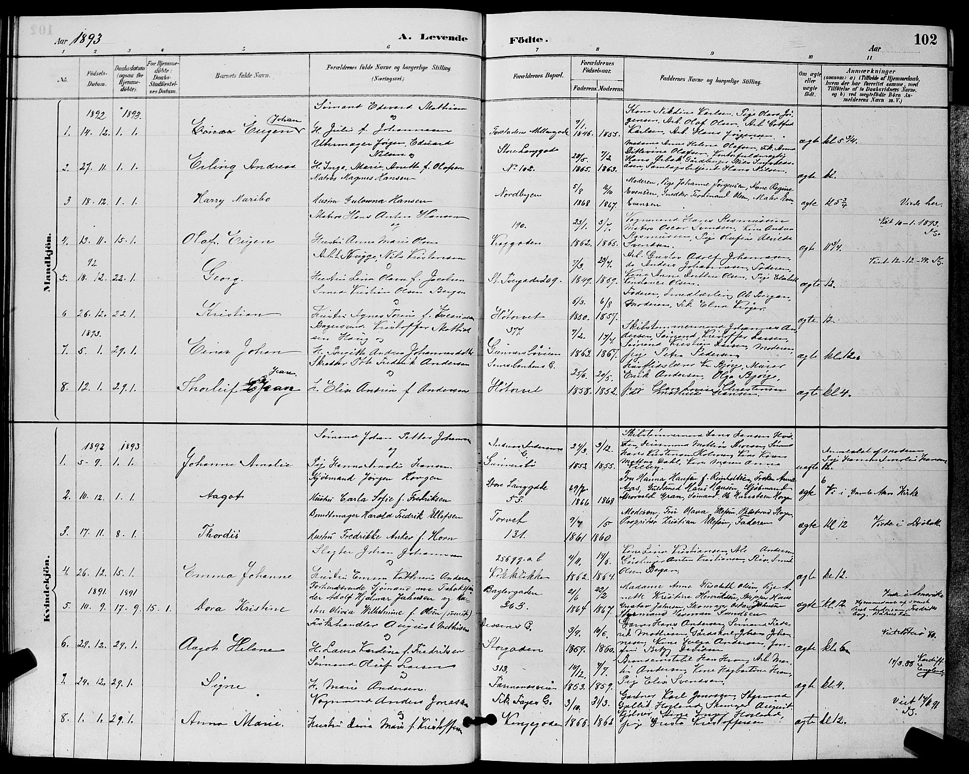 Tønsberg kirkebøker, AV/SAKO-A-330/G/Ga/L0006: Parish register (copy) no. 6, 1885-1895, p. 102