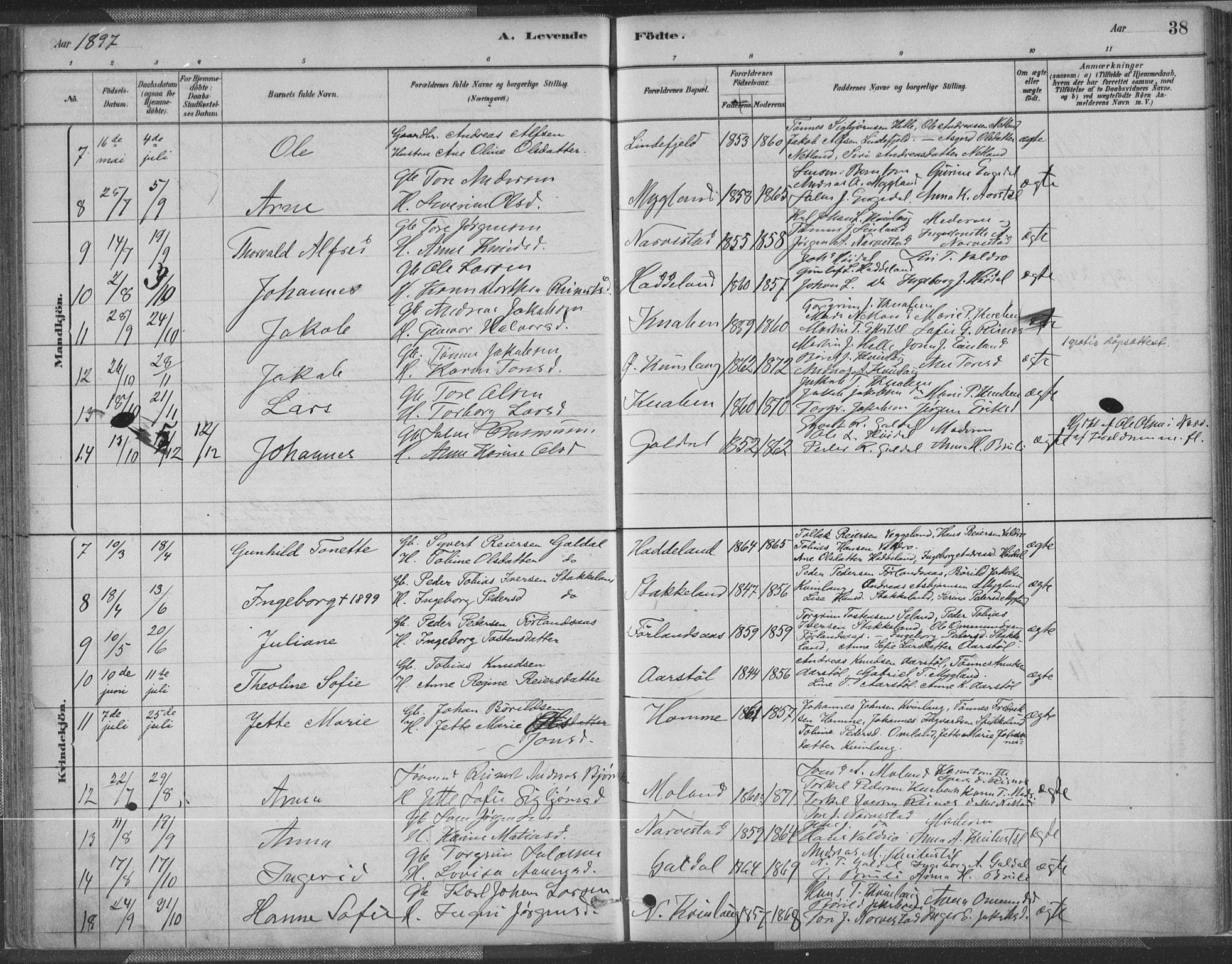 Fjotland sokneprestkontor, AV/SAK-1111-0010/F/Fa/L0002: Parish register (official) no. A 2, 1880-1898, p. 38