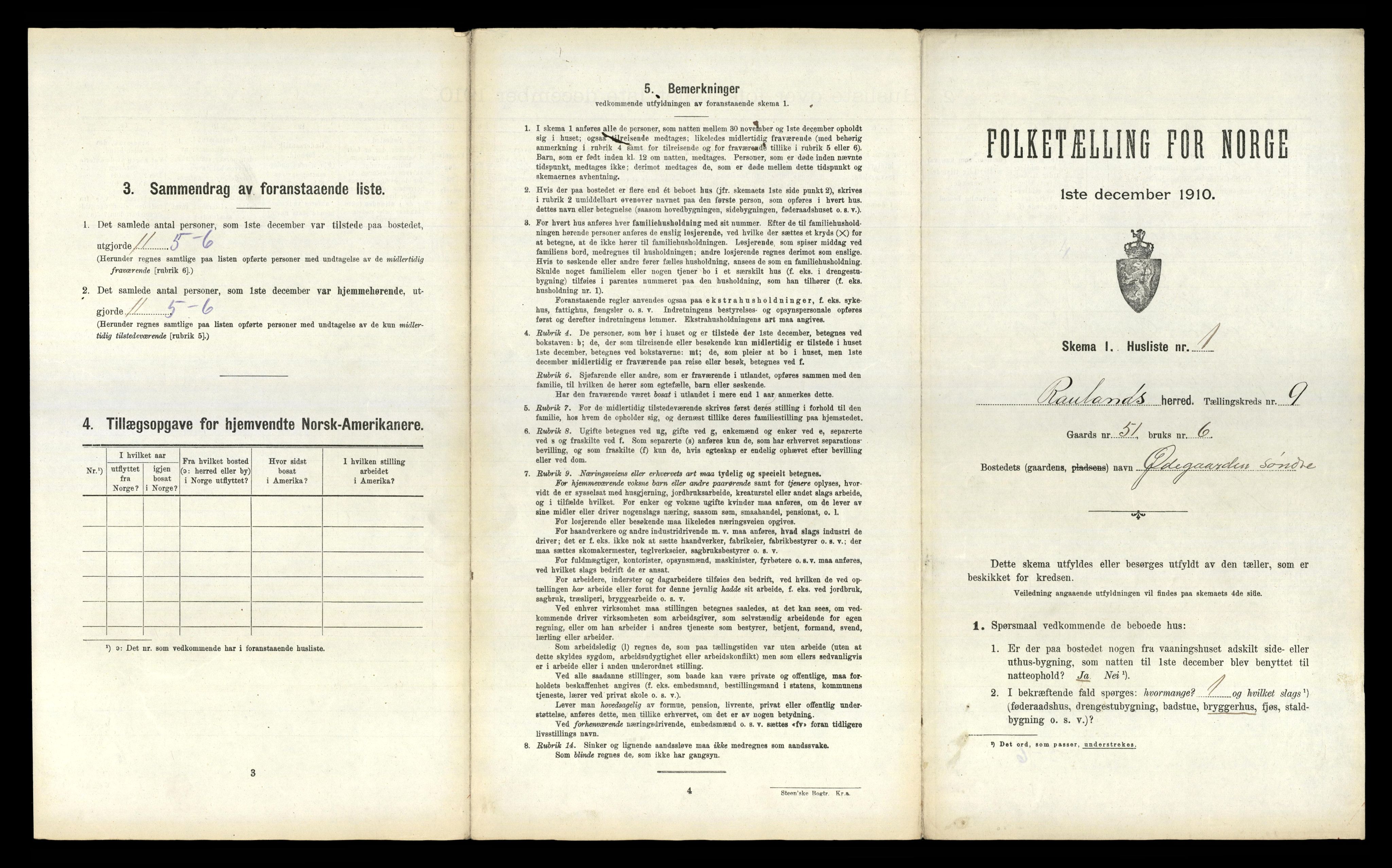 RA, 1910 census for Rauland, 1910, p. 315