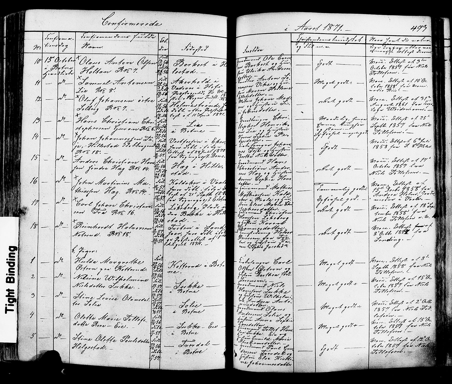 Botne kirkebøker, SAKO/A-340/F/Fa/L0006: Parish register (official) no. I 6, 1836-1877, p. 493