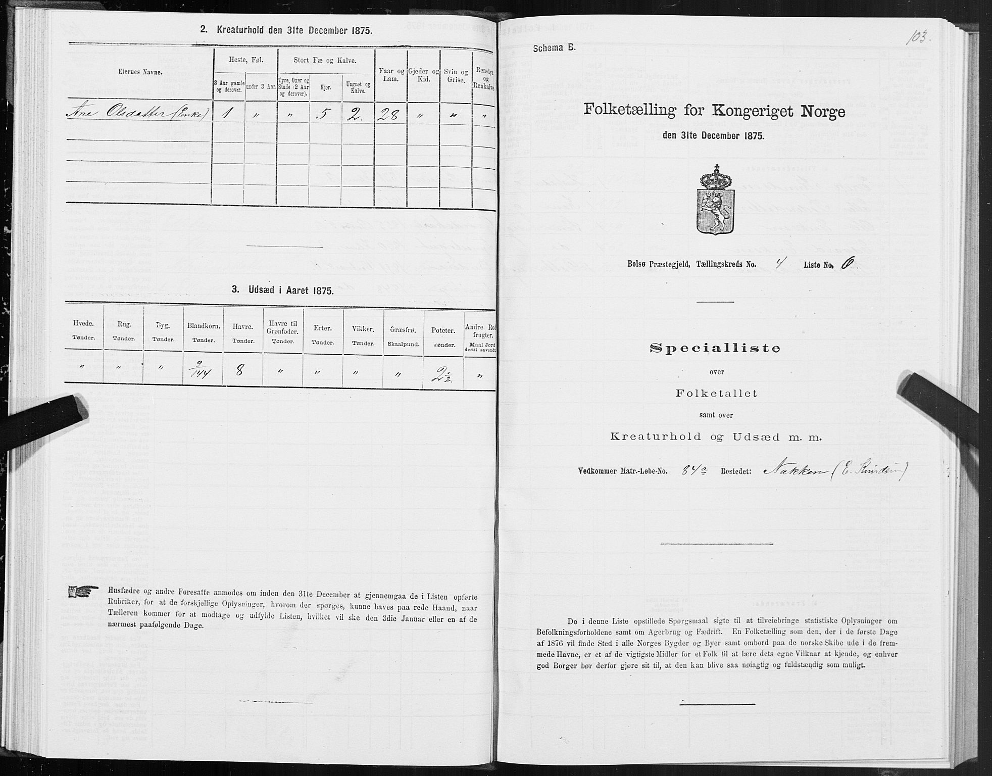 SAT, 1875 census for 1544P Bolsøy, 1875, p. 3103