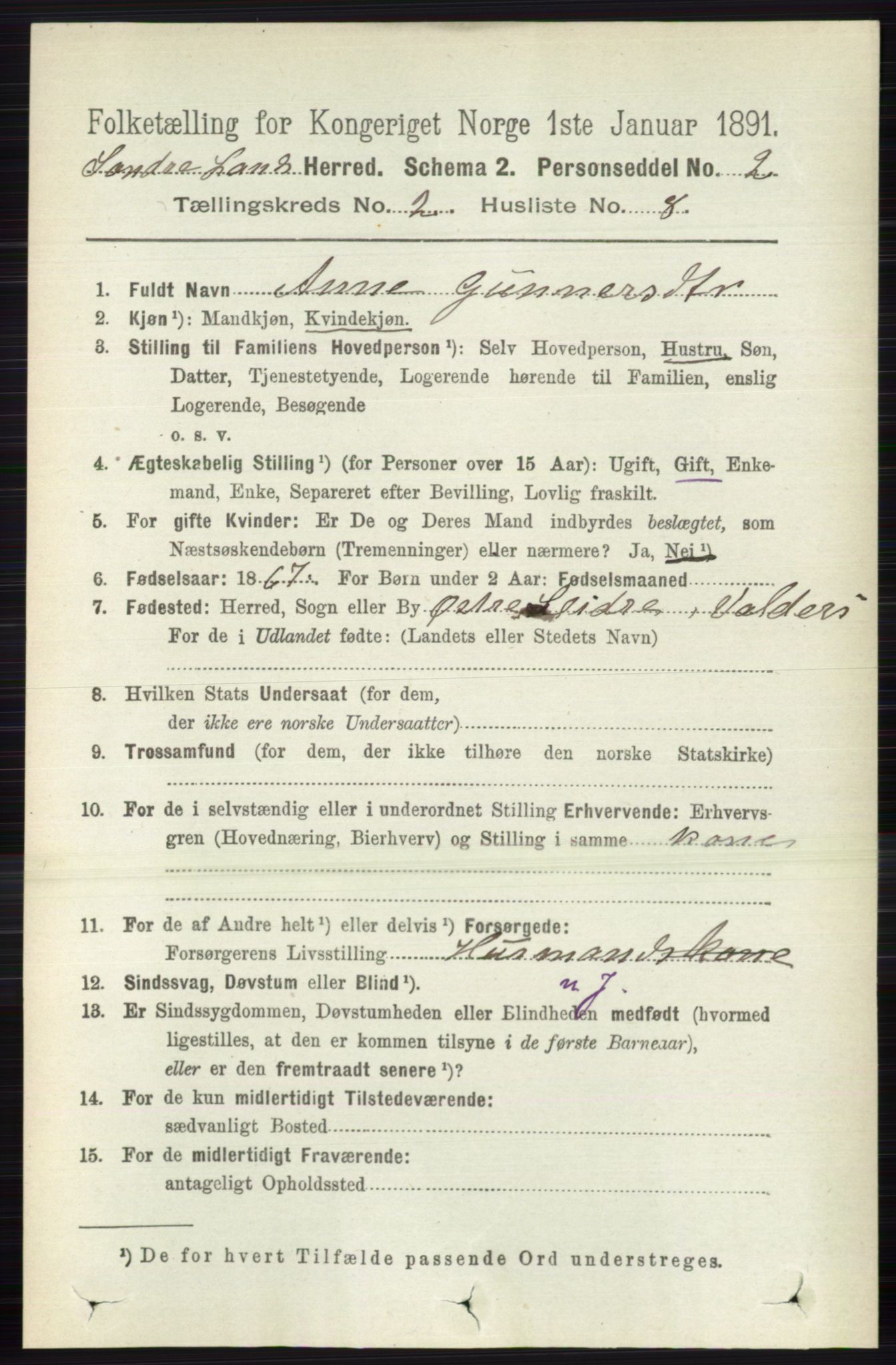 RA, 1891 census for 0536 Søndre Land, 1891, p. 1080