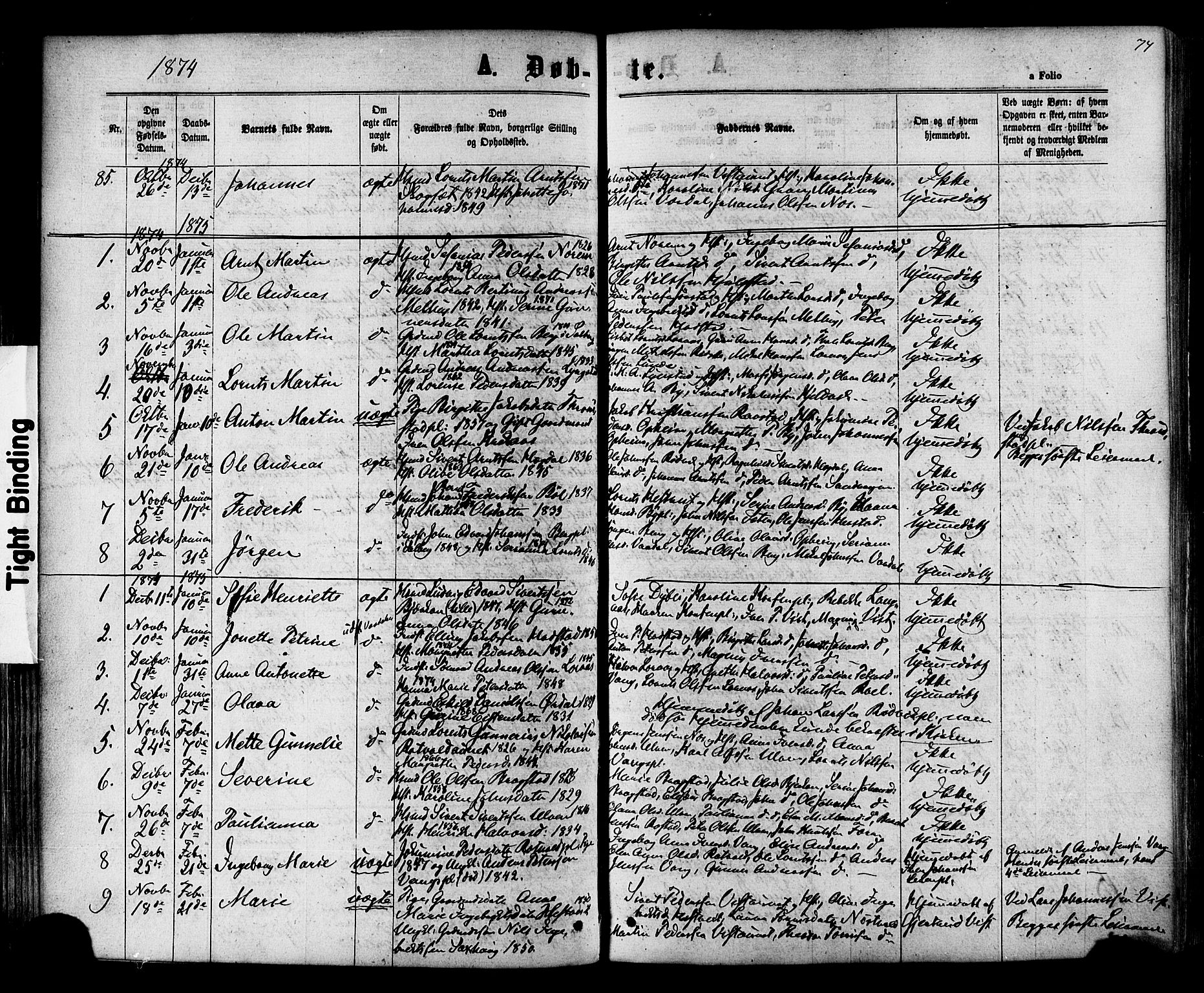 Ministerialprotokoller, klokkerbøker og fødselsregistre - Nord-Trøndelag, AV/SAT-A-1458/730/L0284: Parish register (official) no. 730A09, 1866-1878, p. 74