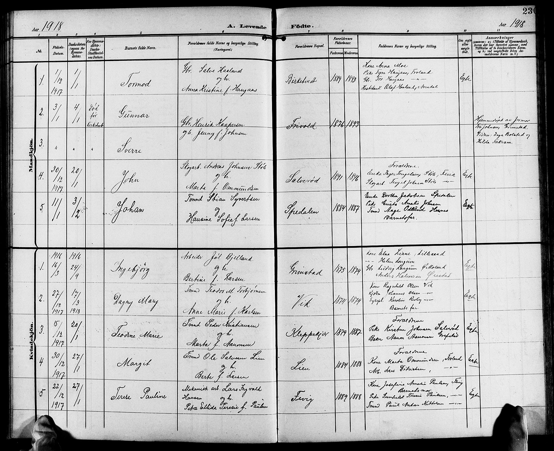 Fjære sokneprestkontor, SAK/1111-0011/F/Fb/L0012: Parish register (copy) no. B 12, 1902-1925, p. 230