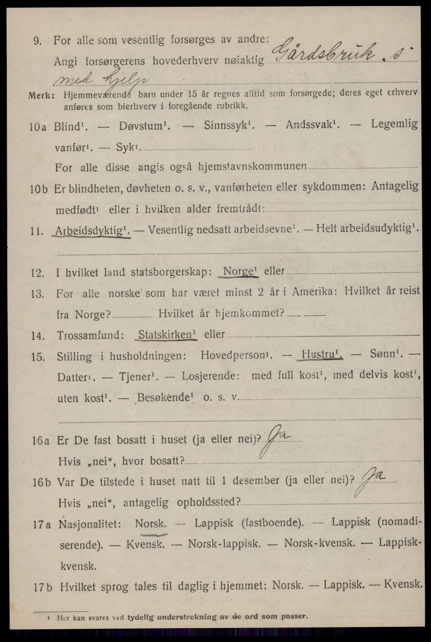 SAT, 1920 census for Røros, 1920, p. 9367