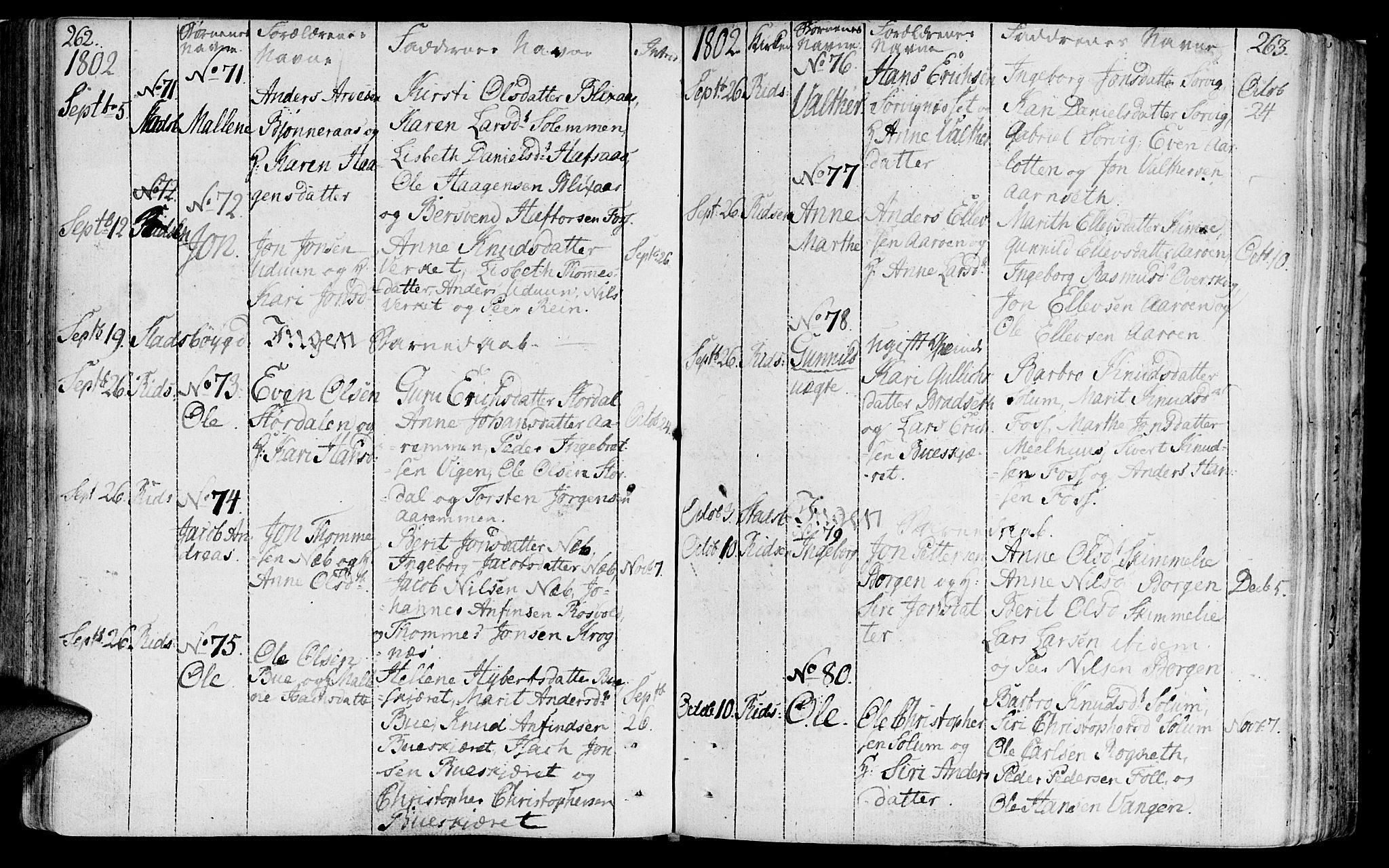 Ministerialprotokoller, klokkerbøker og fødselsregistre - Sør-Trøndelag, AV/SAT-A-1456/646/L0606: Parish register (official) no. 646A04, 1791-1805, p. 262-263