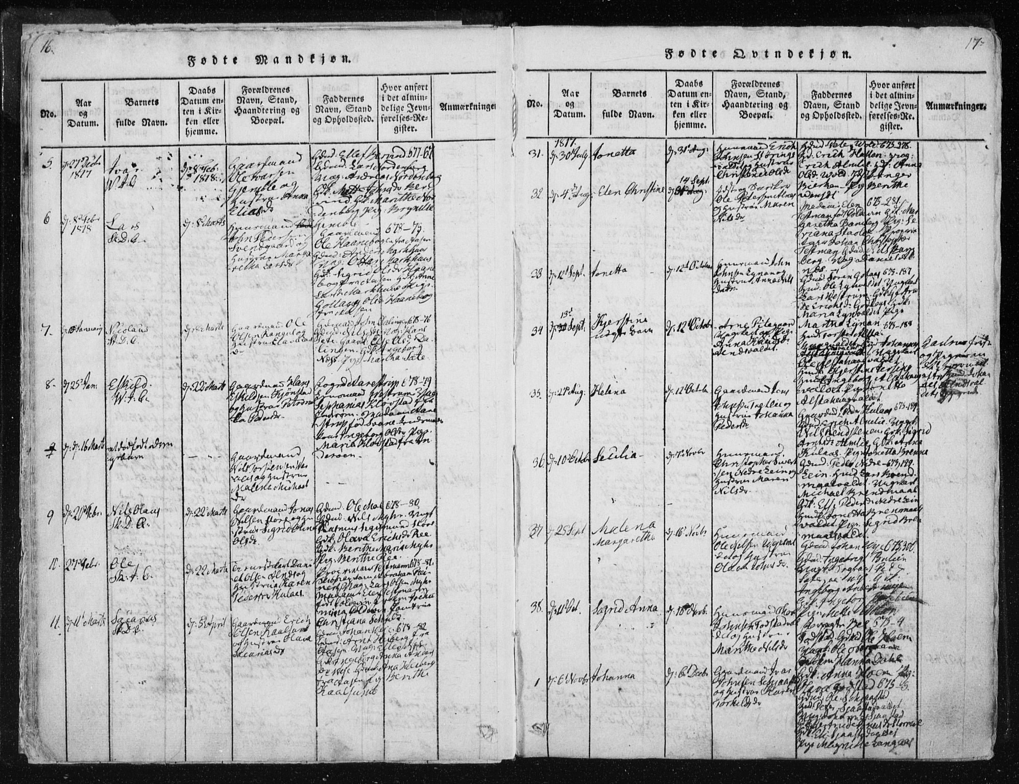 Ministerialprotokoller, klokkerbøker og fødselsregistre - Nord-Trøndelag, SAT/A-1458/717/L0148: Parish register (official) no. 717A04 /1, 1816-1825, p. 16-17