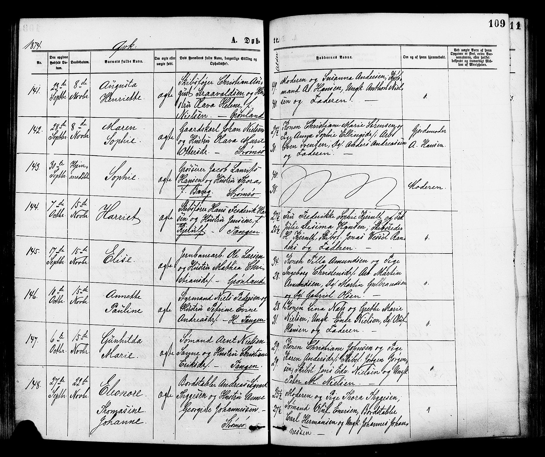 Strømsø kirkebøker, AV/SAKO-A-246/F/Fa/L0019: Parish register (official) no. I 19, 1874-1877, p. 109