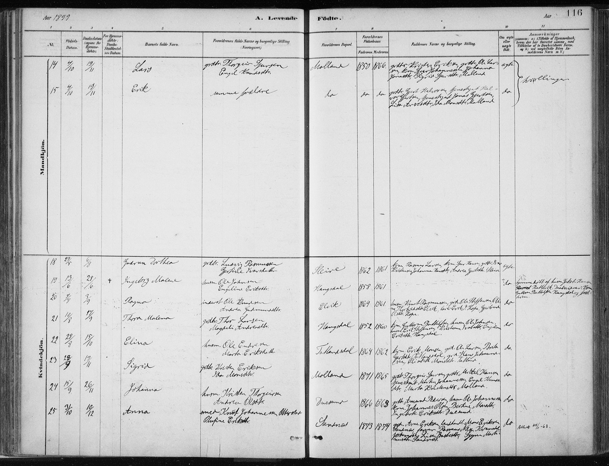 Masfjorden Sokneprestembete, SAB/A-77001: Parish register (official) no. B  1, 1876-1899, p. 116