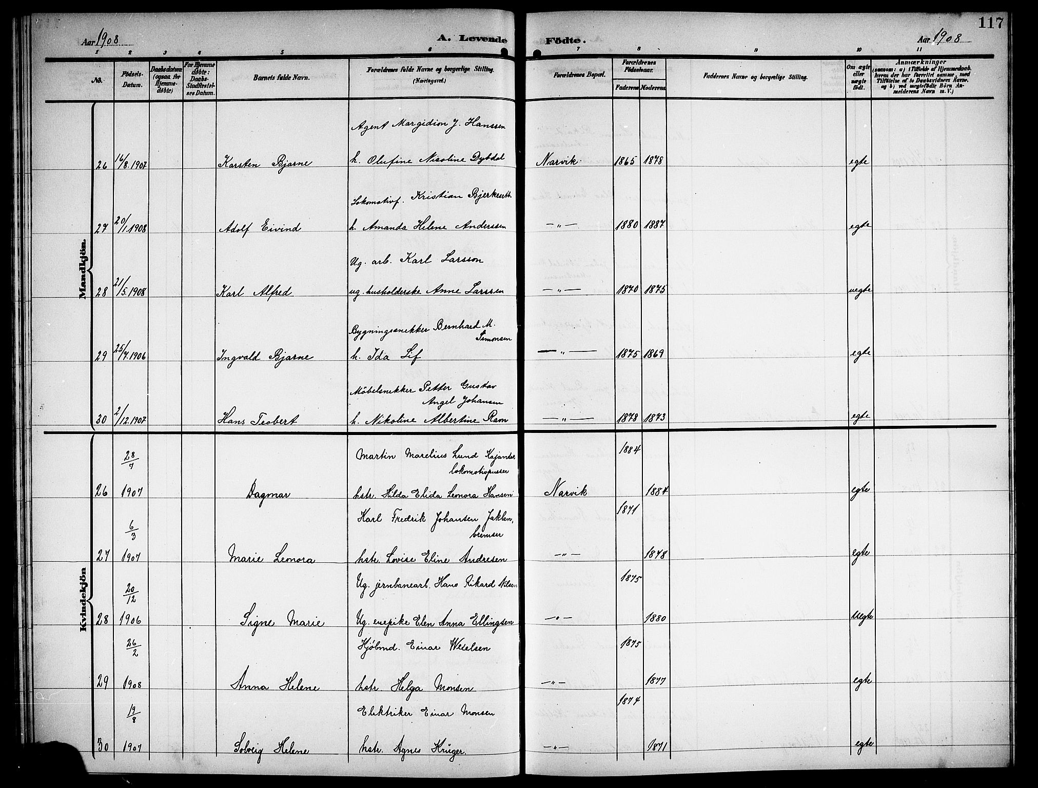 Ministerialprotokoller, klokkerbøker og fødselsregistre - Nordland, AV/SAT-A-1459/871/L1012: Parish register (copy) no. 871C01, 1902-1909, p. 117