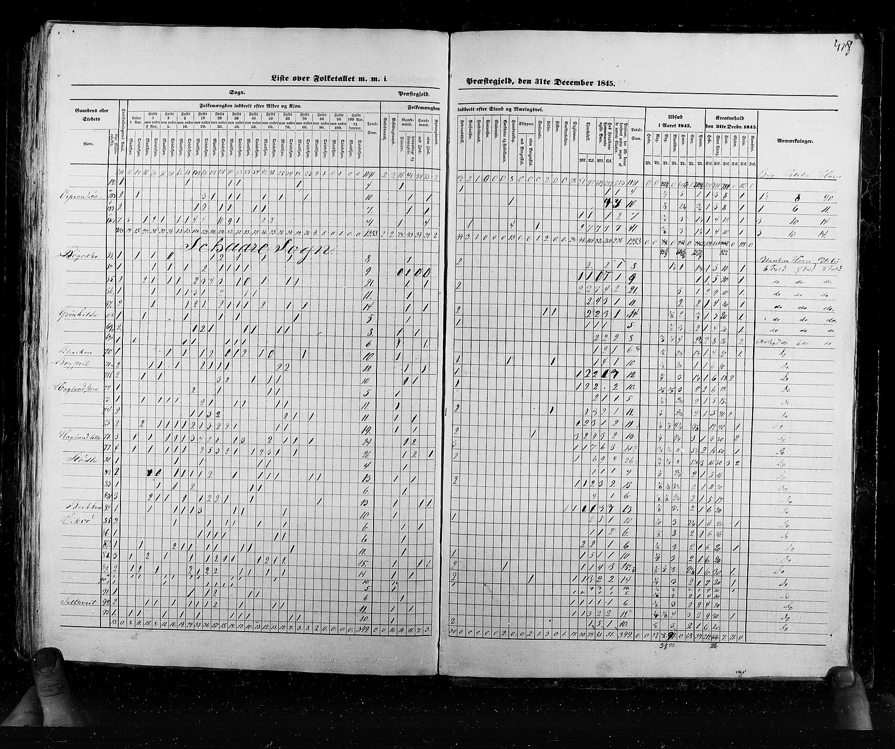 RA, Census 1845, vol. 6: Lister og Mandal amt og Stavanger amt, 1845, p. 418