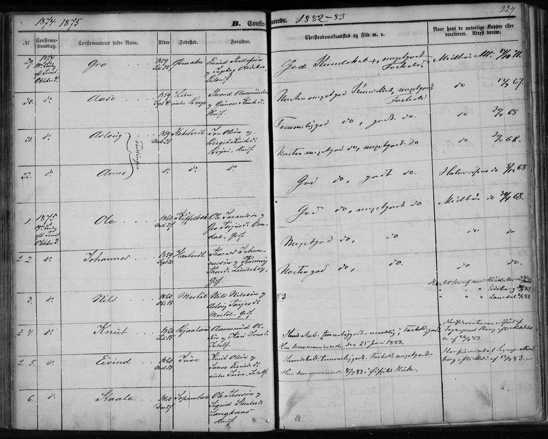 Lårdal kirkebøker, SAKO/A-284/F/Fa/L0006: Parish register (official) no. I 6, 1861-1886, p. 227