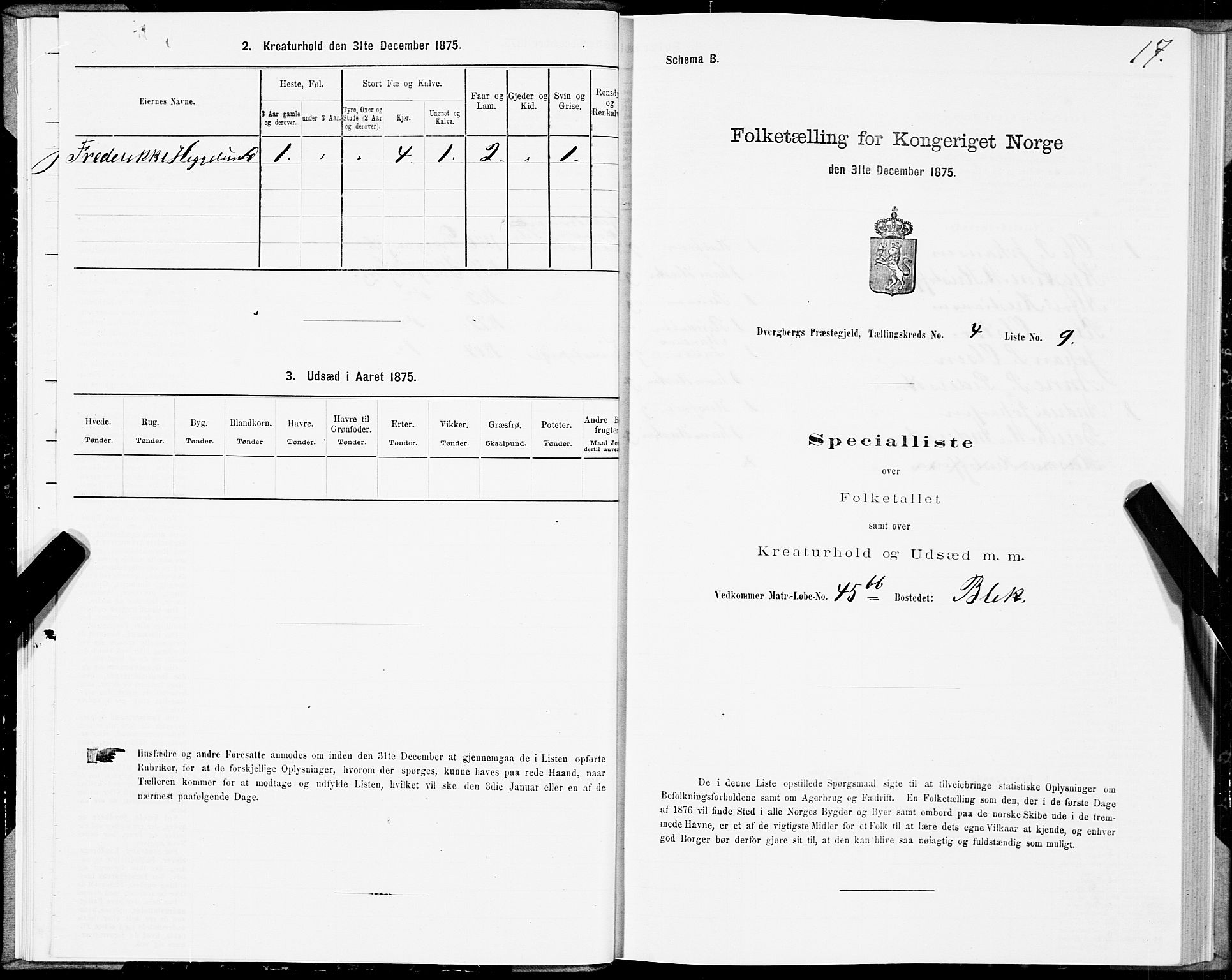 SAT, 1875 census for 1872P Dverberg, 1875, p. 3017