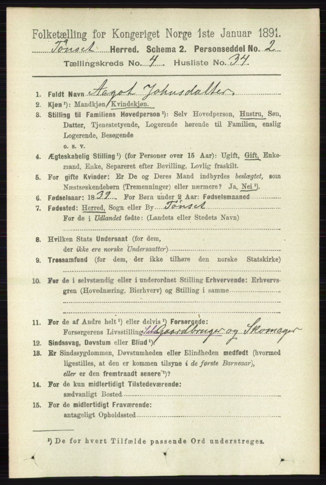 RA, 1891 census for 0437 Tynset, 1891, p. 955