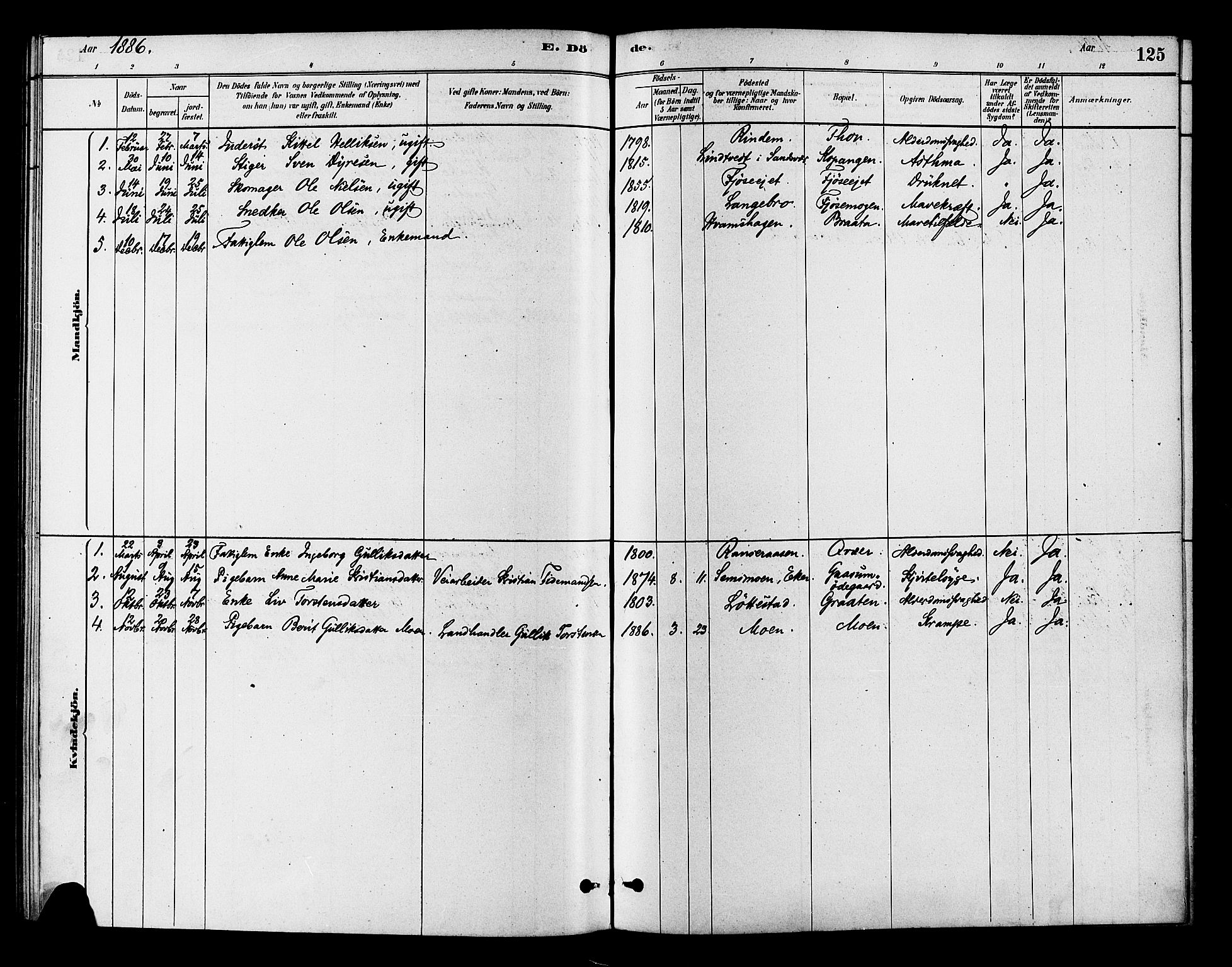 Flesberg kirkebøker, SAKO/A-18/F/Fb/L0001: Parish register (official) no. II 1, 1879-1907, p. 125