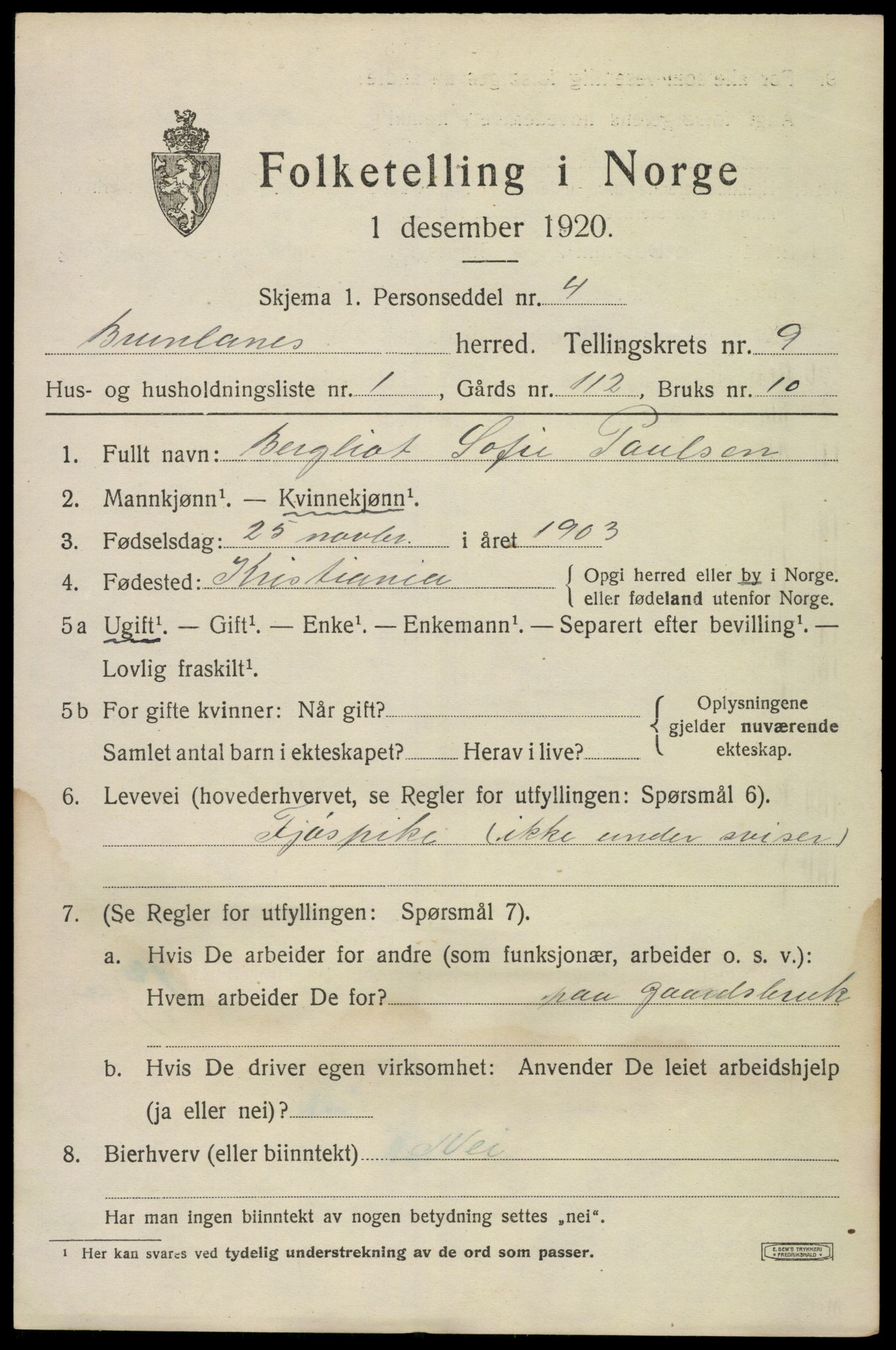 SAKO, 1920 census for Brunlanes, 1920, p. 7873