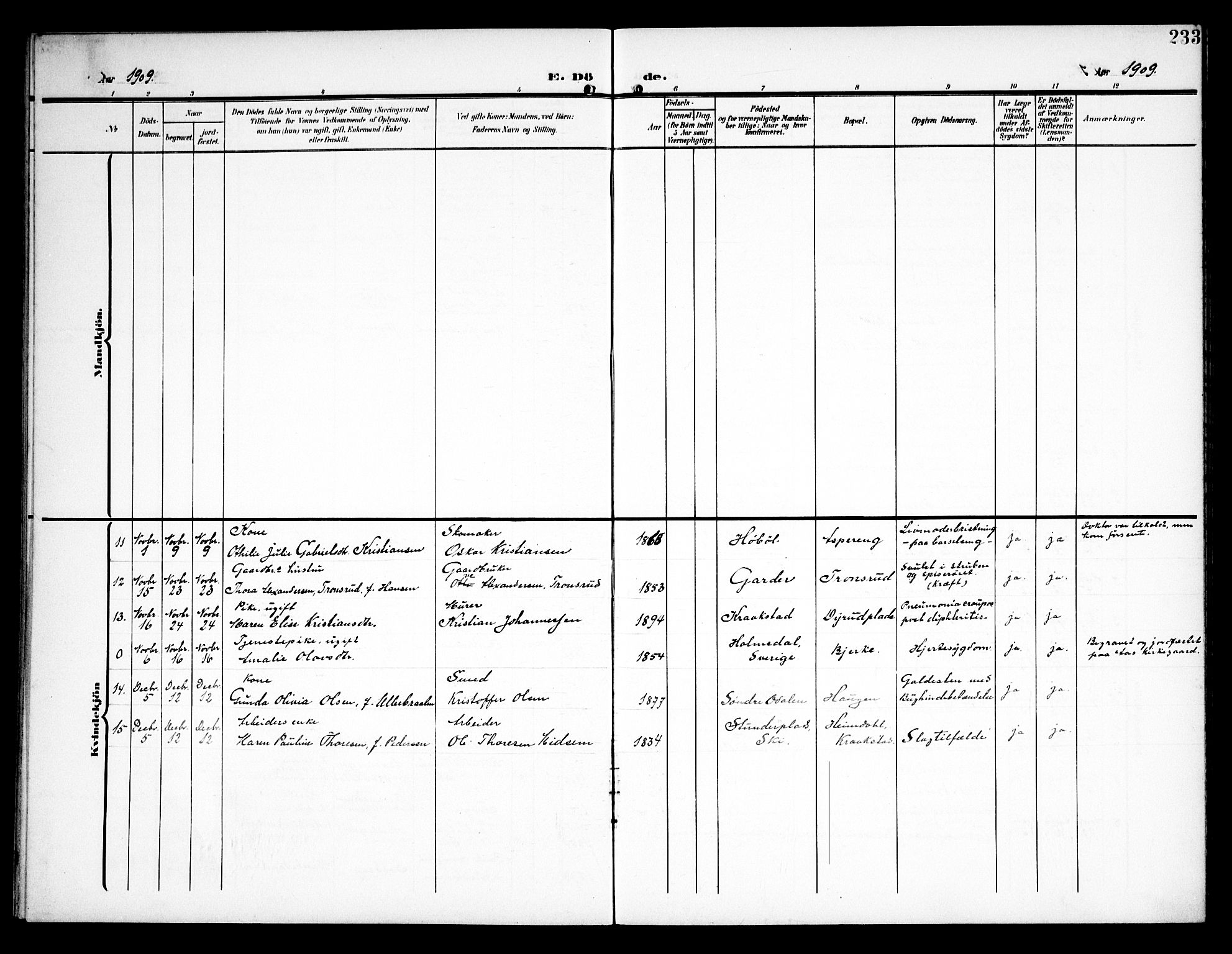 Kråkstad prestekontor Kirkebøker, AV/SAO-A-10125a/G/Ga/L0002: Parish register (copy) no. I 2, 1905-1934, p. 233