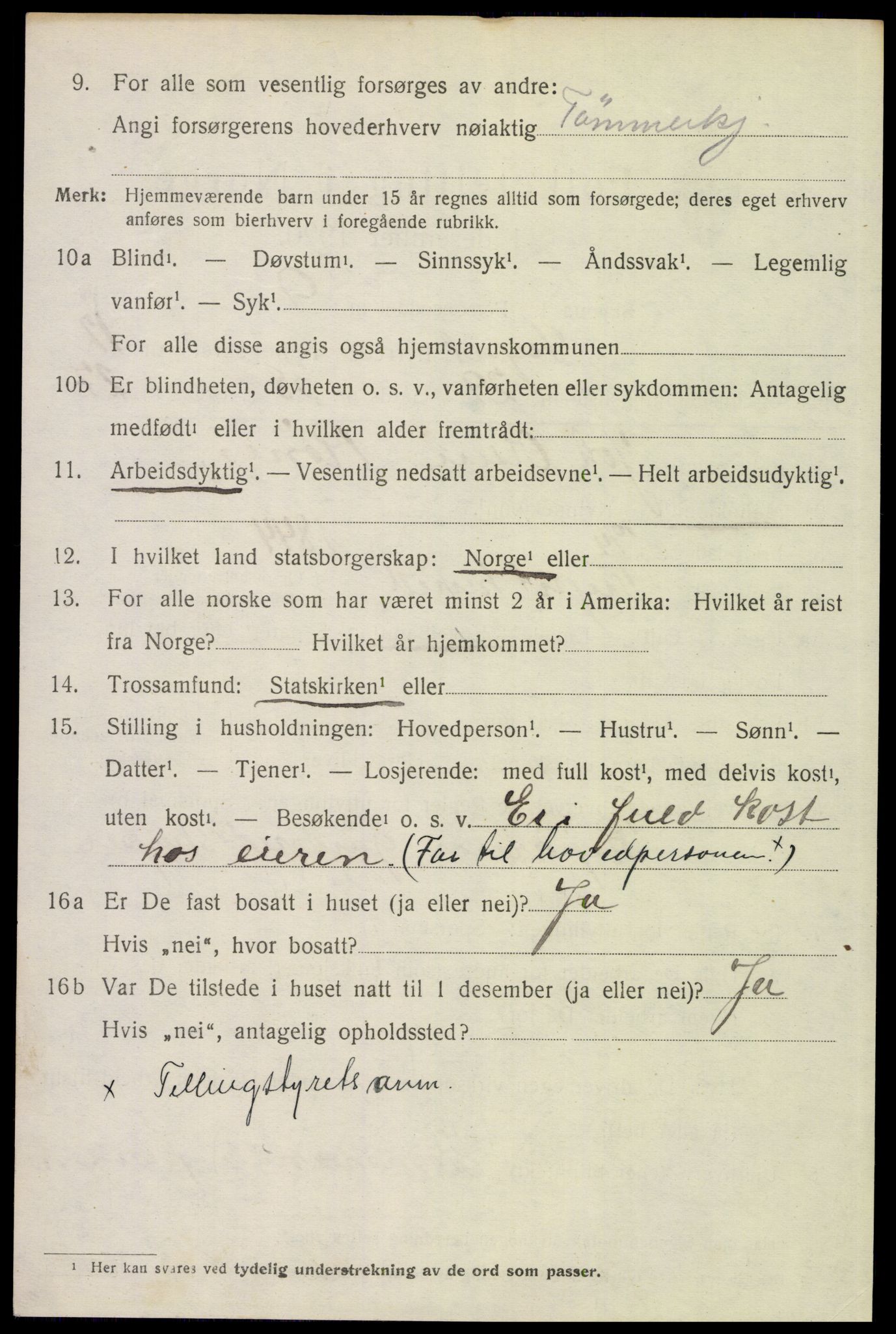SAH, 1920 census for Trysil, 1920, p. 7534