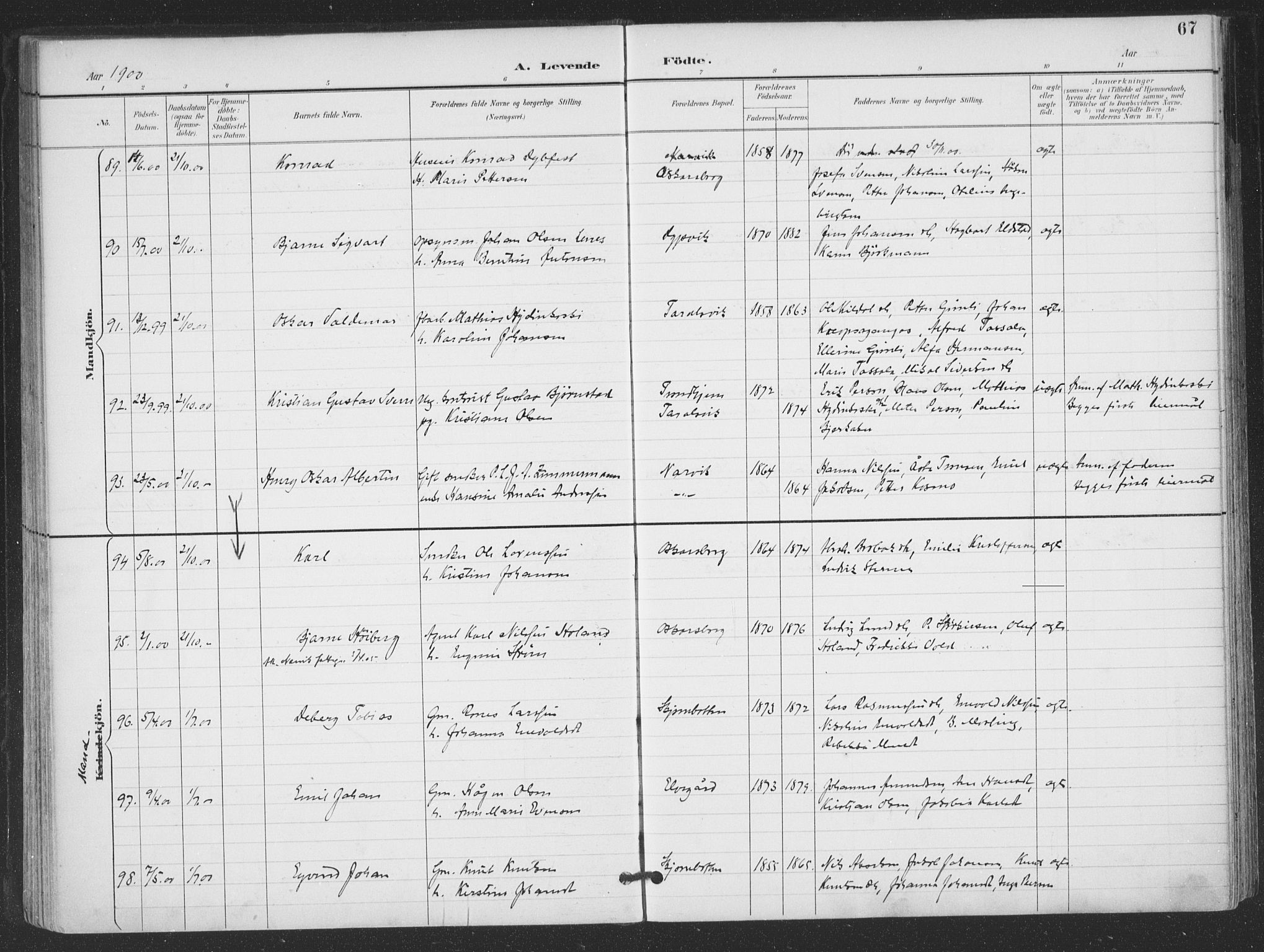 Ministerialprotokoller, klokkerbøker og fødselsregistre - Nordland, AV/SAT-A-1459/866/L0939: Parish register (official) no. 866A02, 1894-1906, p. 67