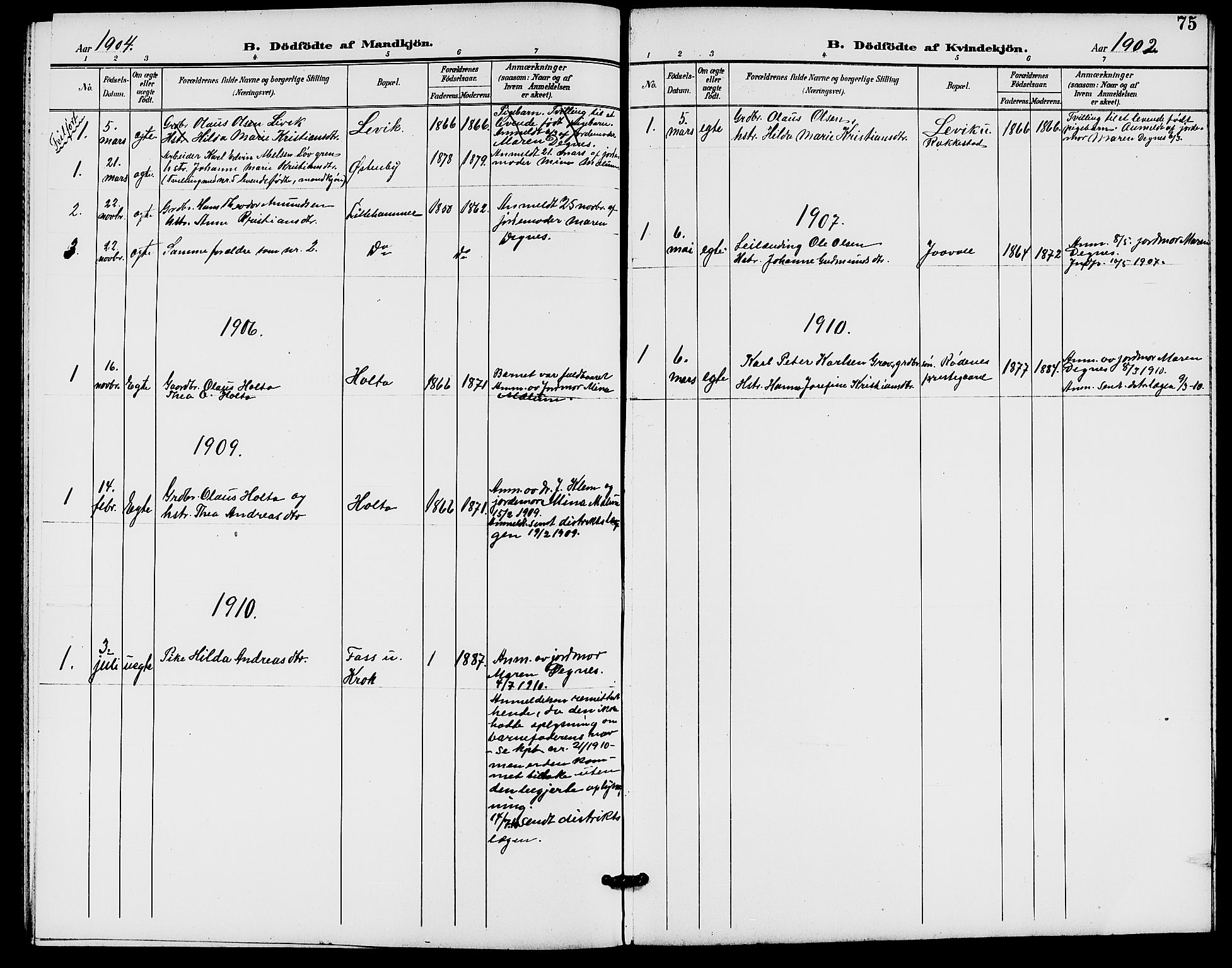 Rødenes prestekontor Kirkebøker, AV/SAO-A-2005/G/Ga/L0002: Parish register (copy) no. I 2, 1901-1910, p. 75